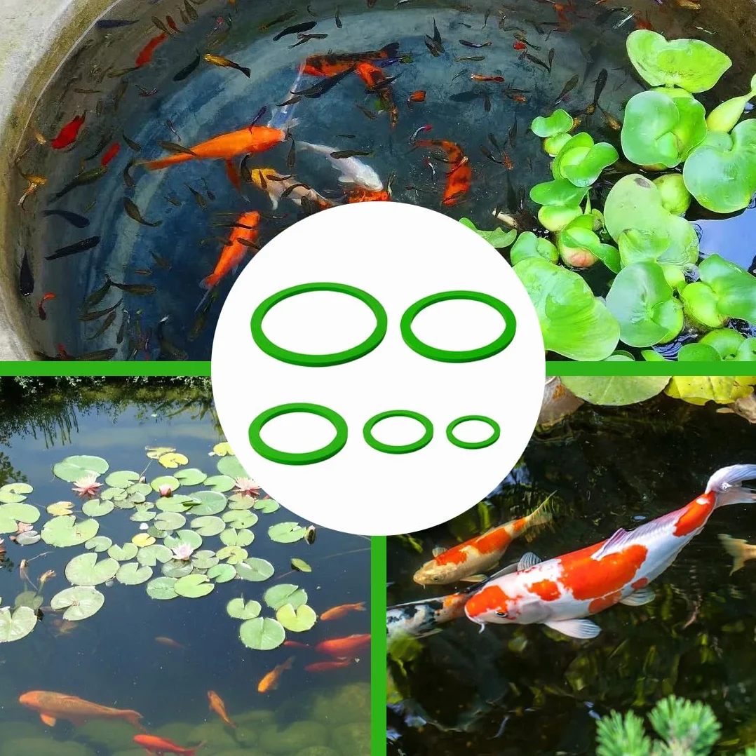 Anneaux Flottantes d'Aquarium en Mousse, Corail Flottant, Anneau d'alimentation Poisson avec Plante pour Aquarium 5 Pièces