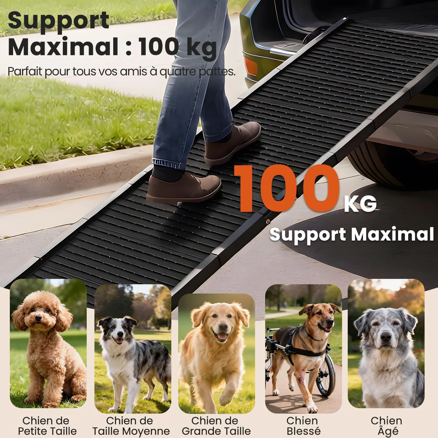 Rampe pour Chien pour Voiture 170 cm x 41 cm,Rampe Pliable Extra Longue avec Surface Antidérapante, Rampe Portable pour Animaux pour SUV, Camion, Lit & Canapé, pour Chiens Moyens et Grands