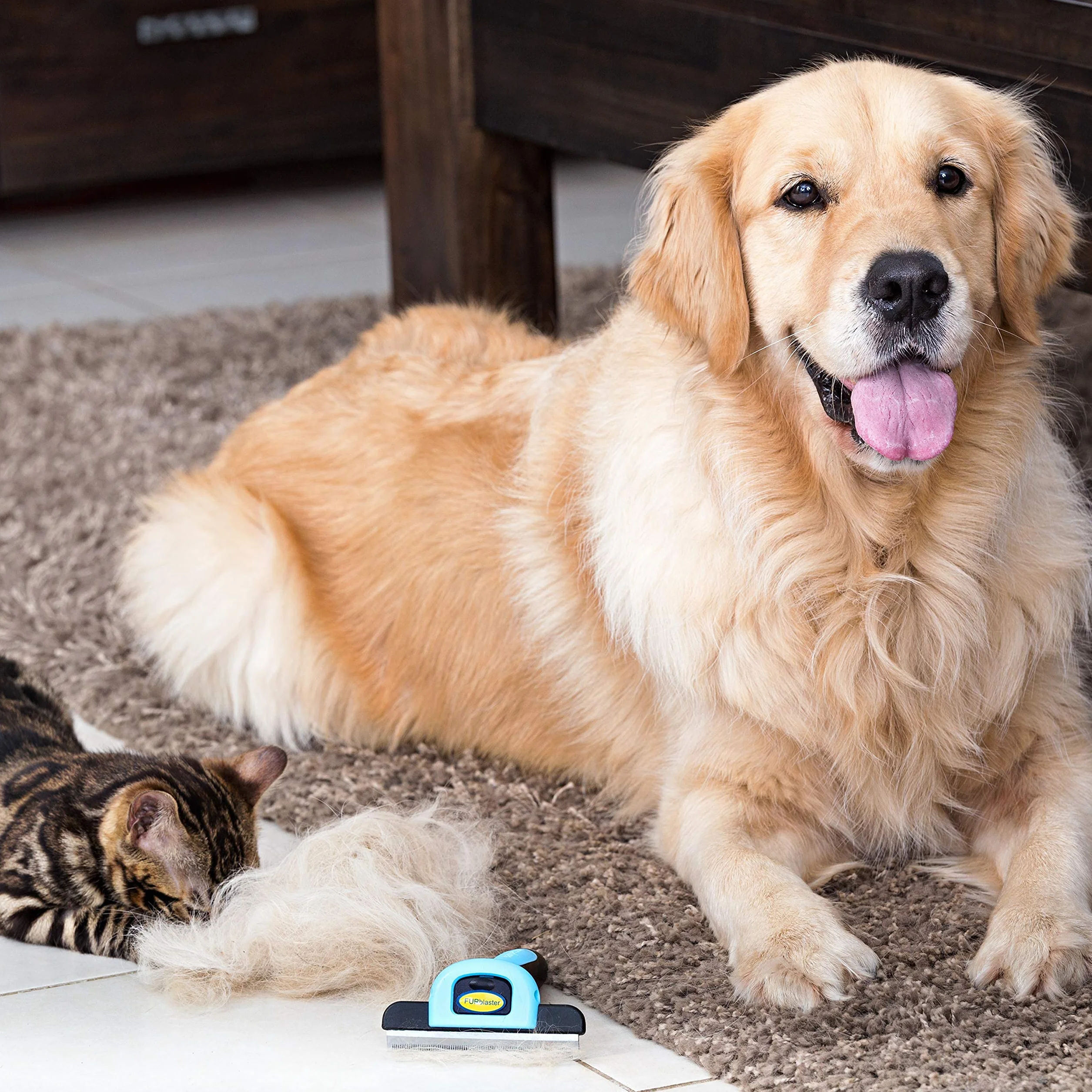 DakPets Outil de toilettage pour chiens et chats Brosse peigne
