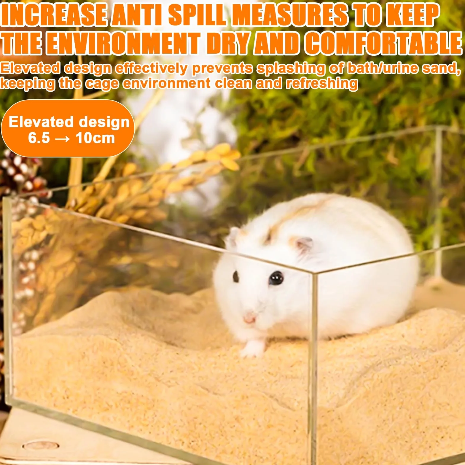 Hamster Salle de bain de sable transparent avec échelle et pelle, carré