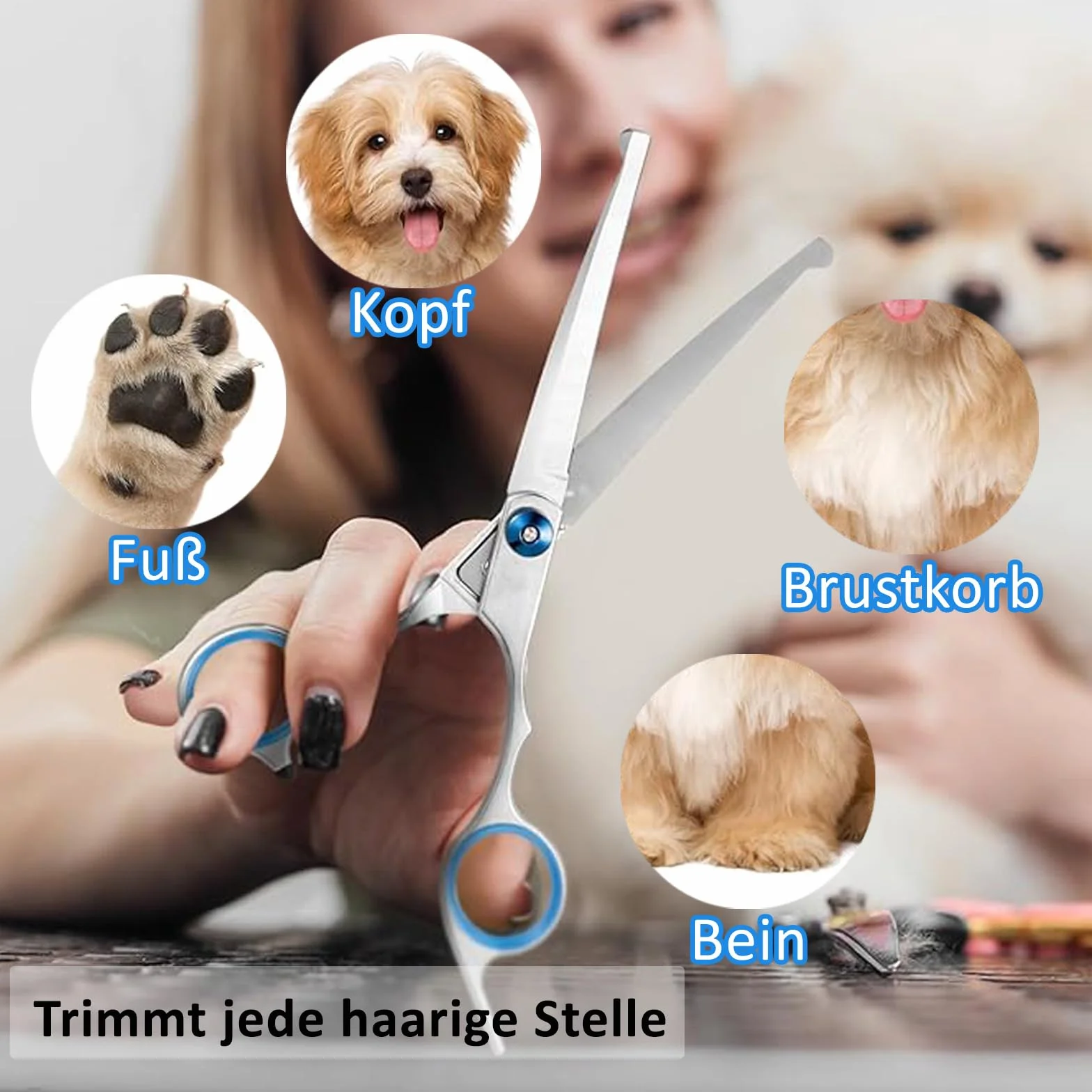Ciseaux de toilettage pour chiens et chats en acier inoxydable bleu