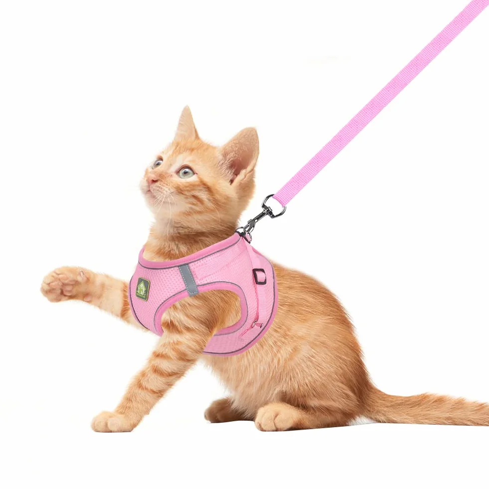 Harnais Petit Chien Chat Veste en Mesh Doux Réfléchissant Réglable Gilet de Chiot et Laisse pour Chiens de Taille Petits et Moyens