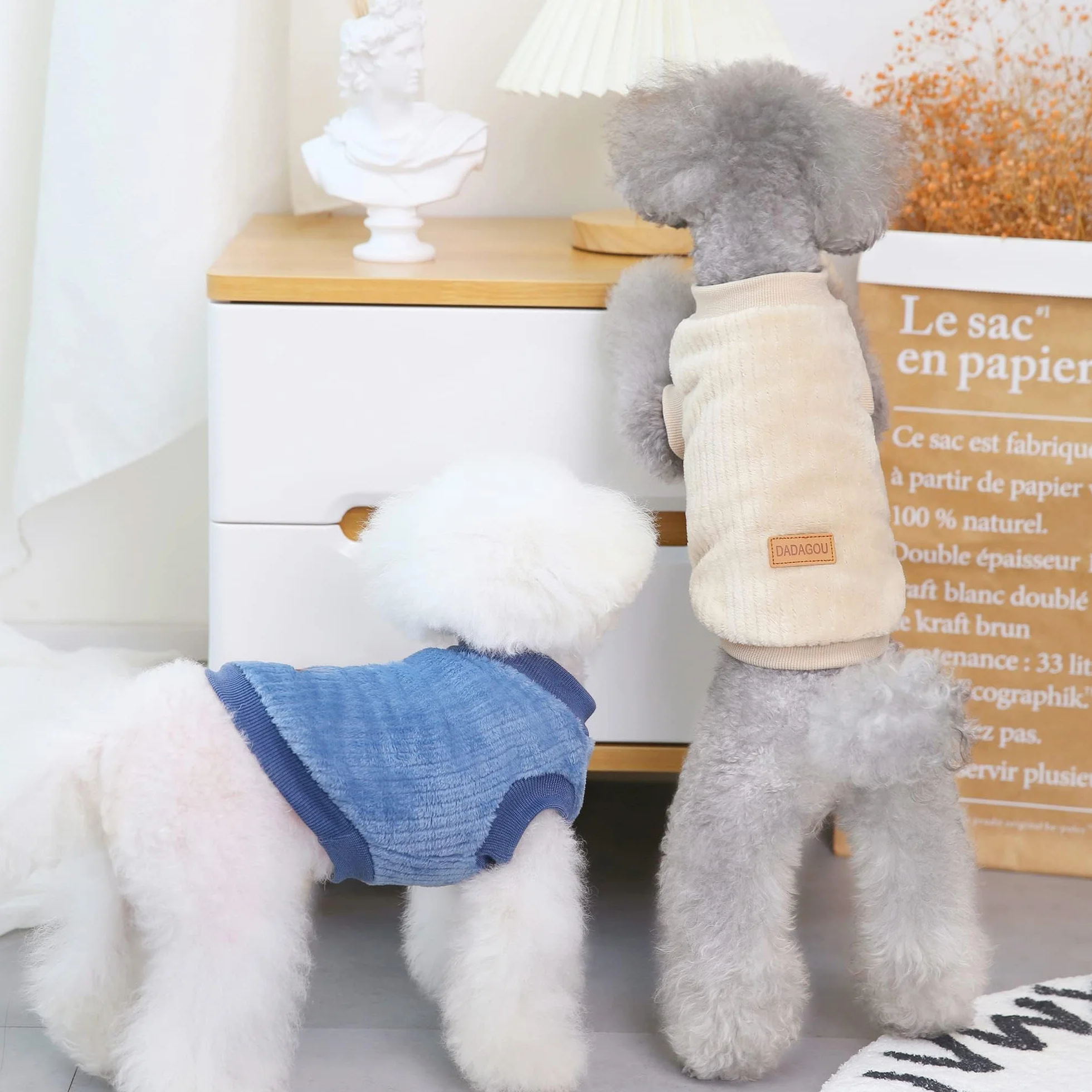 YAODHAOD Pull en peluche pour chien et chat - Hiver - Chaud - Taille M - Bleu