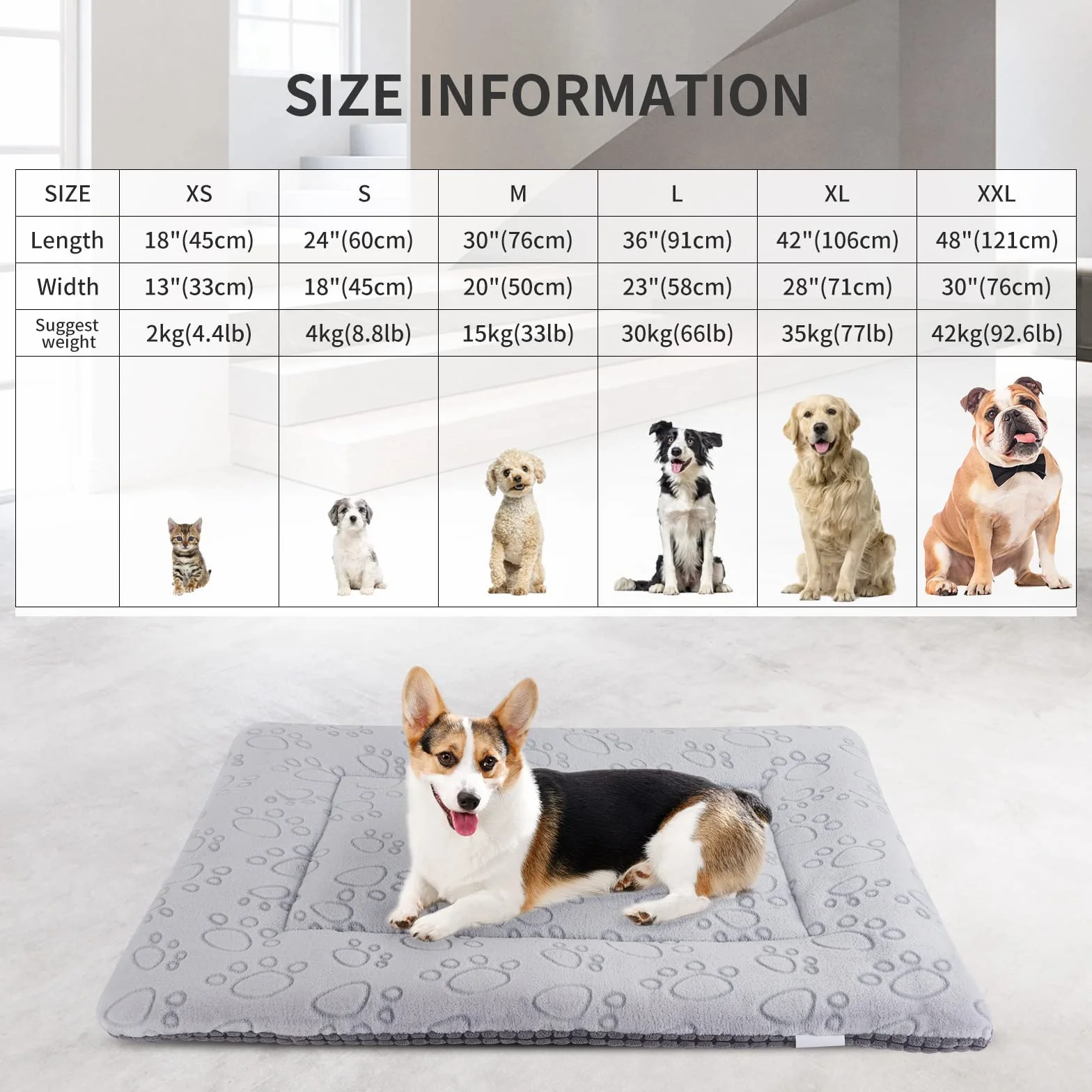 IEUUMLER Matelas pour Chien Réversible Doux - Coussin Lavable pour Chat et Chien - Facile à Transporter Extérieur FC014 (Gris, 45 * 33cm)