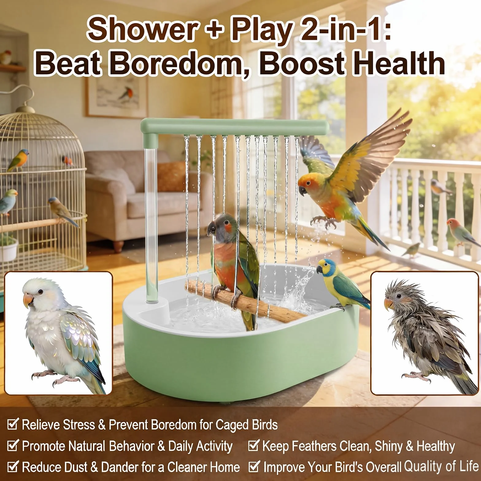 Bain d'oiseaux Automatique avec Eau en Circulation pour Perroquets Perruches Aras