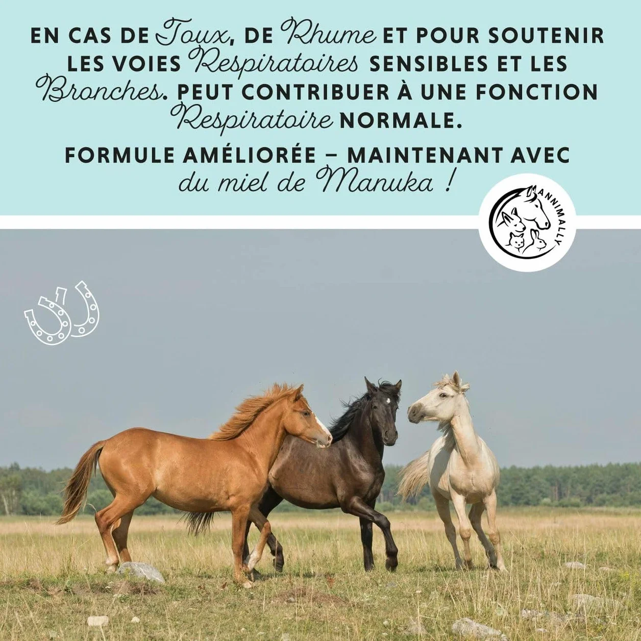 Annimally Sirop toux Cheval 1000ml - Sirop bronchial pour Chevaux Contre la toux et pour apaiser Les Voies respiratoires - Sirop pour la Gorge, Liquide à Base de mélange d'herbes Bronc