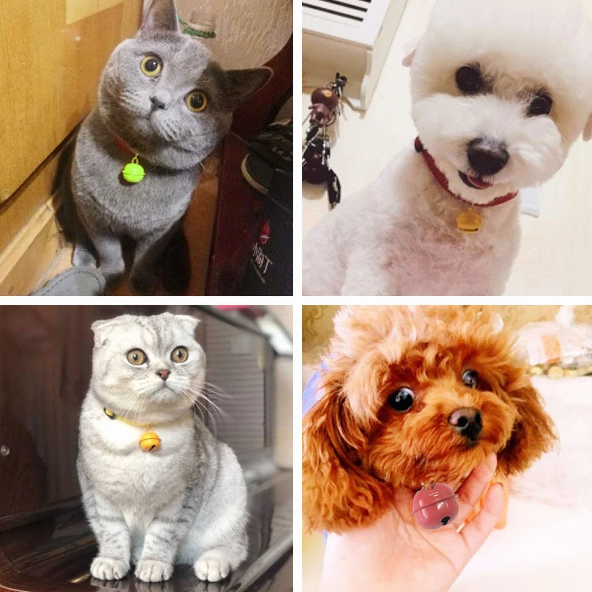 Jinlaili 22mm Metal Bell Pendants for Pet Collars Cat Dog Christmas Decoration