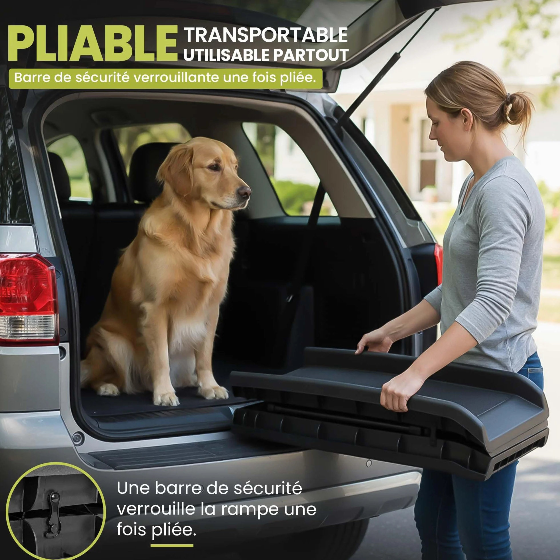 all Pets United® Rampe pour Chien et Chat Pliable Aide à l'entrée dans Le Coffre Escalier pour Animaux domestiques pour Grands et Petits Animaux (Rampe)