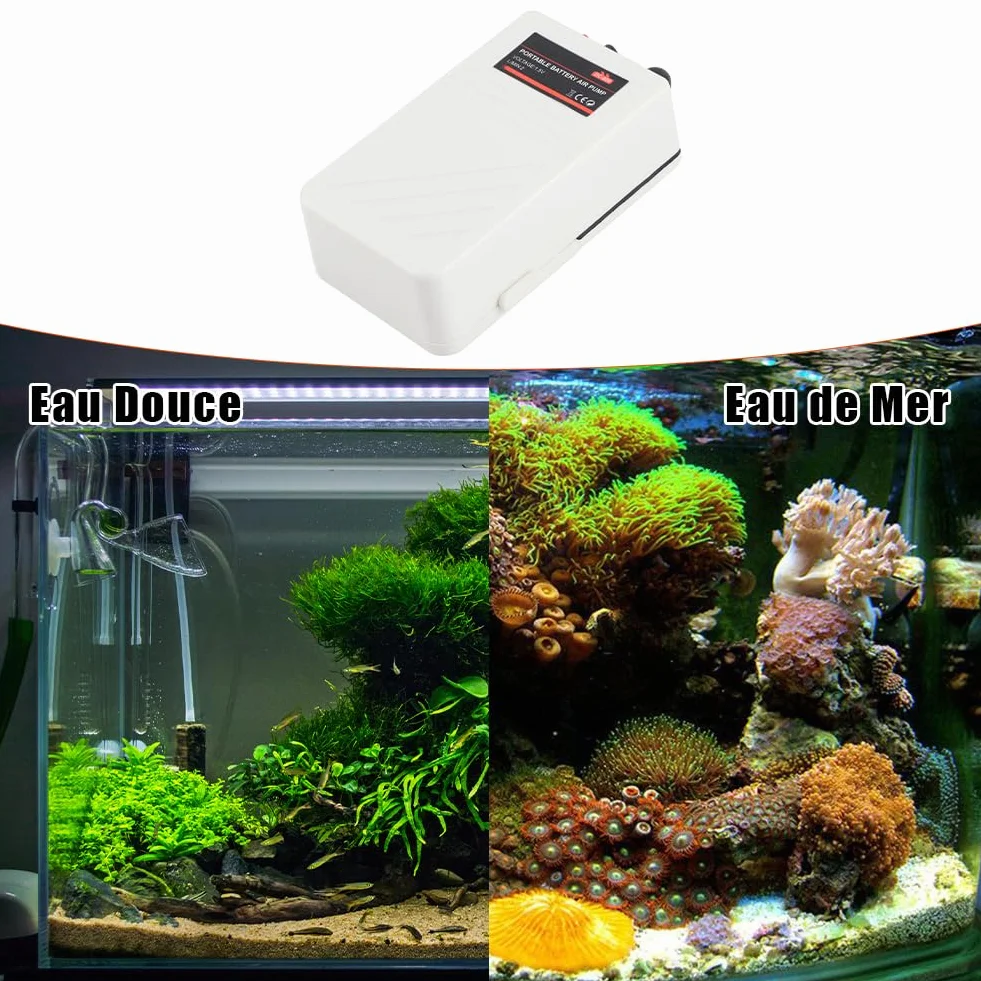 Pompe à Air d'Aquarium Silencieuse Portable avec Piles, Pierre et Tube pour Pêche en Plein Air
