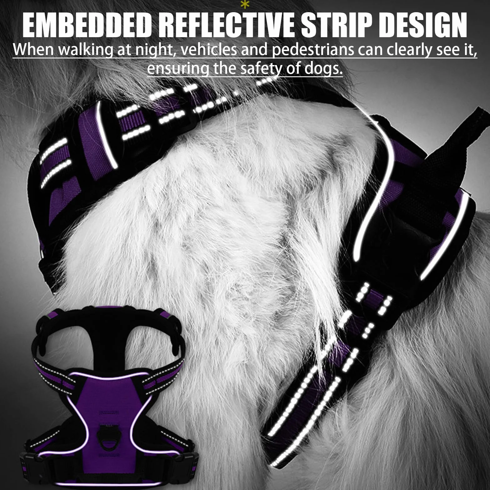 Harnais Chien No Pull Anti Traction, Violet M