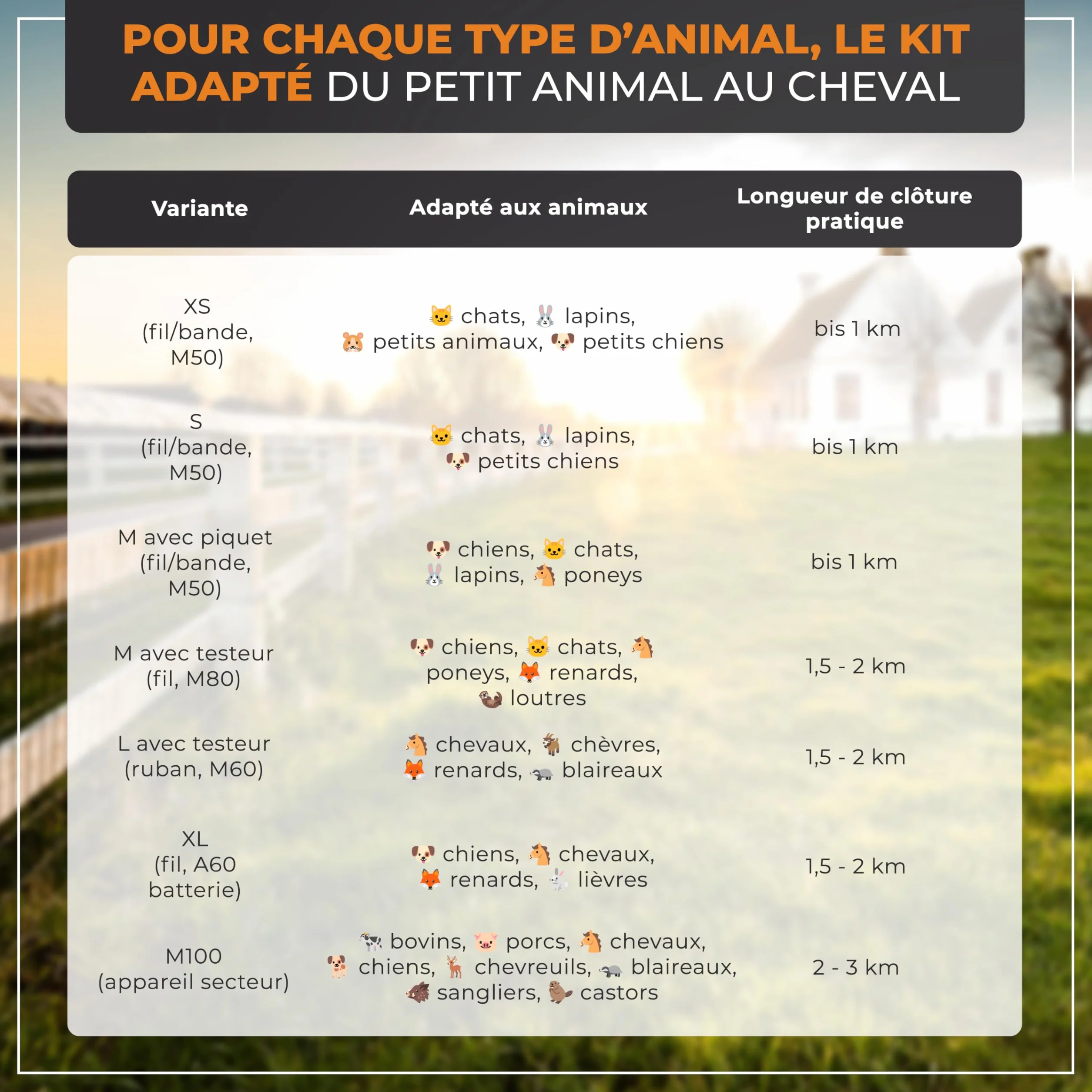 Kit de démarrage clôture électrique M – Électrificateur puissant avec ruban 200 m, 10 piquets, isolateurs & mise à la terre