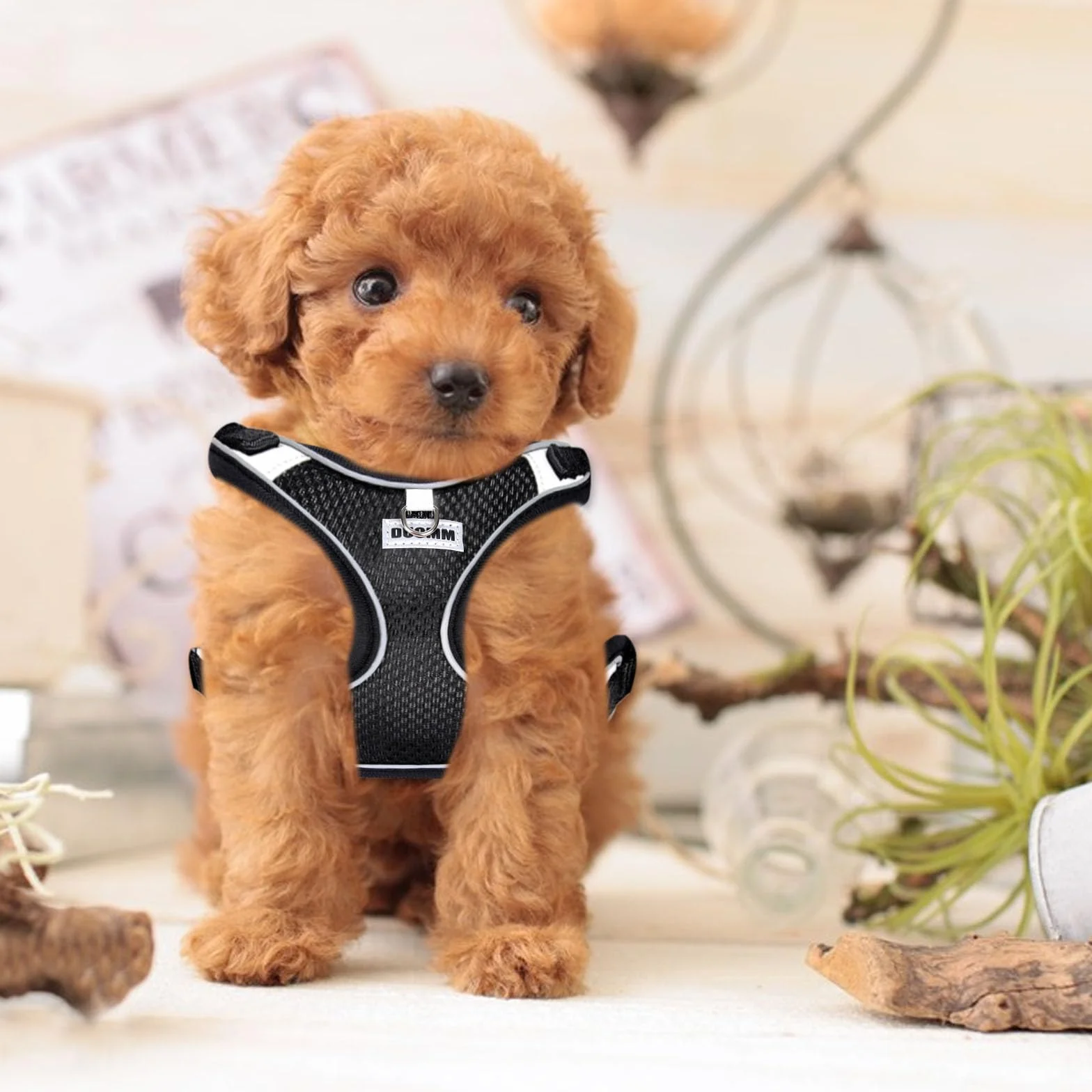 Harnais Chien Anti Traction Petite Moyenne Taille Respirant Lumineux Réglable Sécurité Taille S