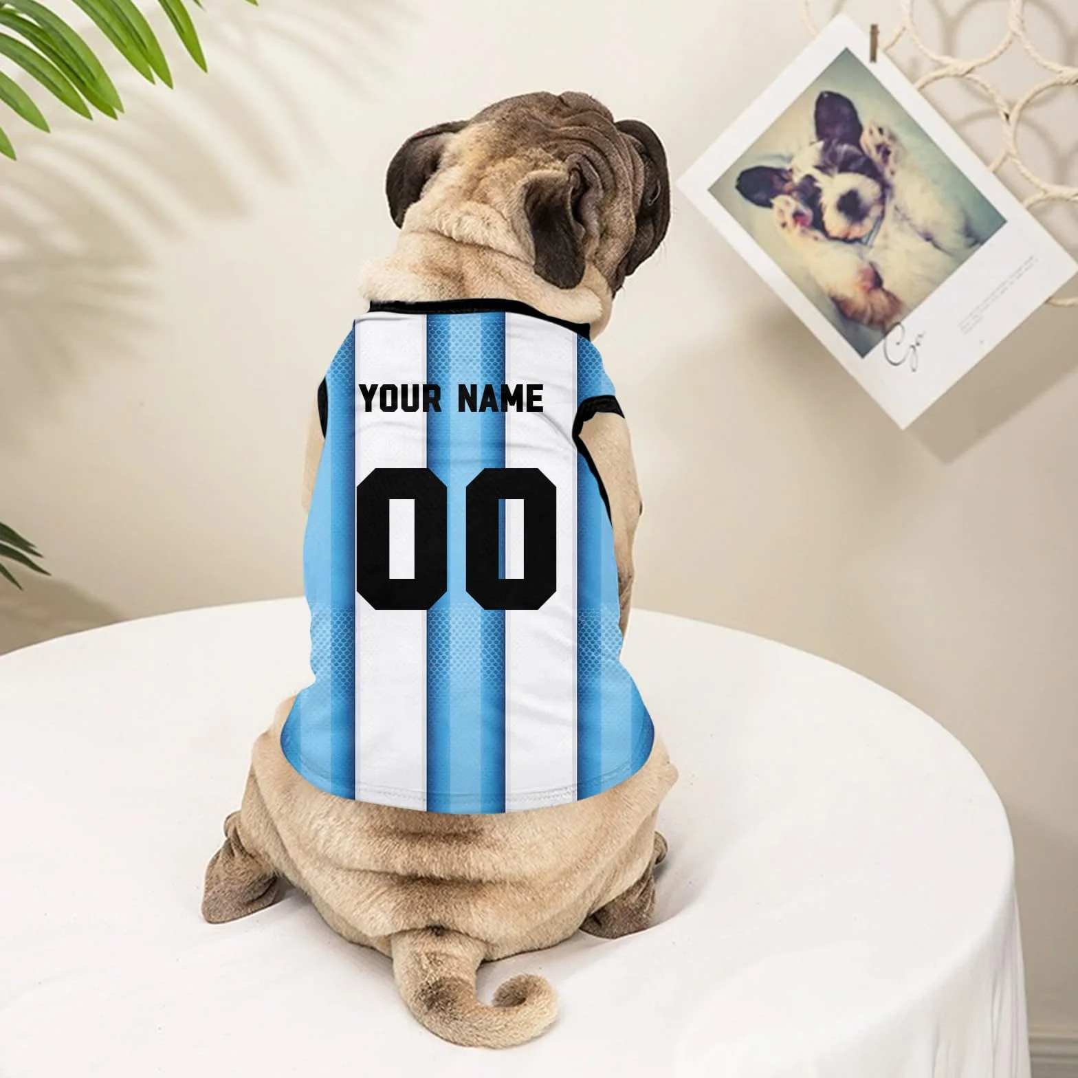 T-Shirt Personnalisé pour Chien avec Nom et Numéro, Maillot Respirant XS-5XL Bleu Ciel