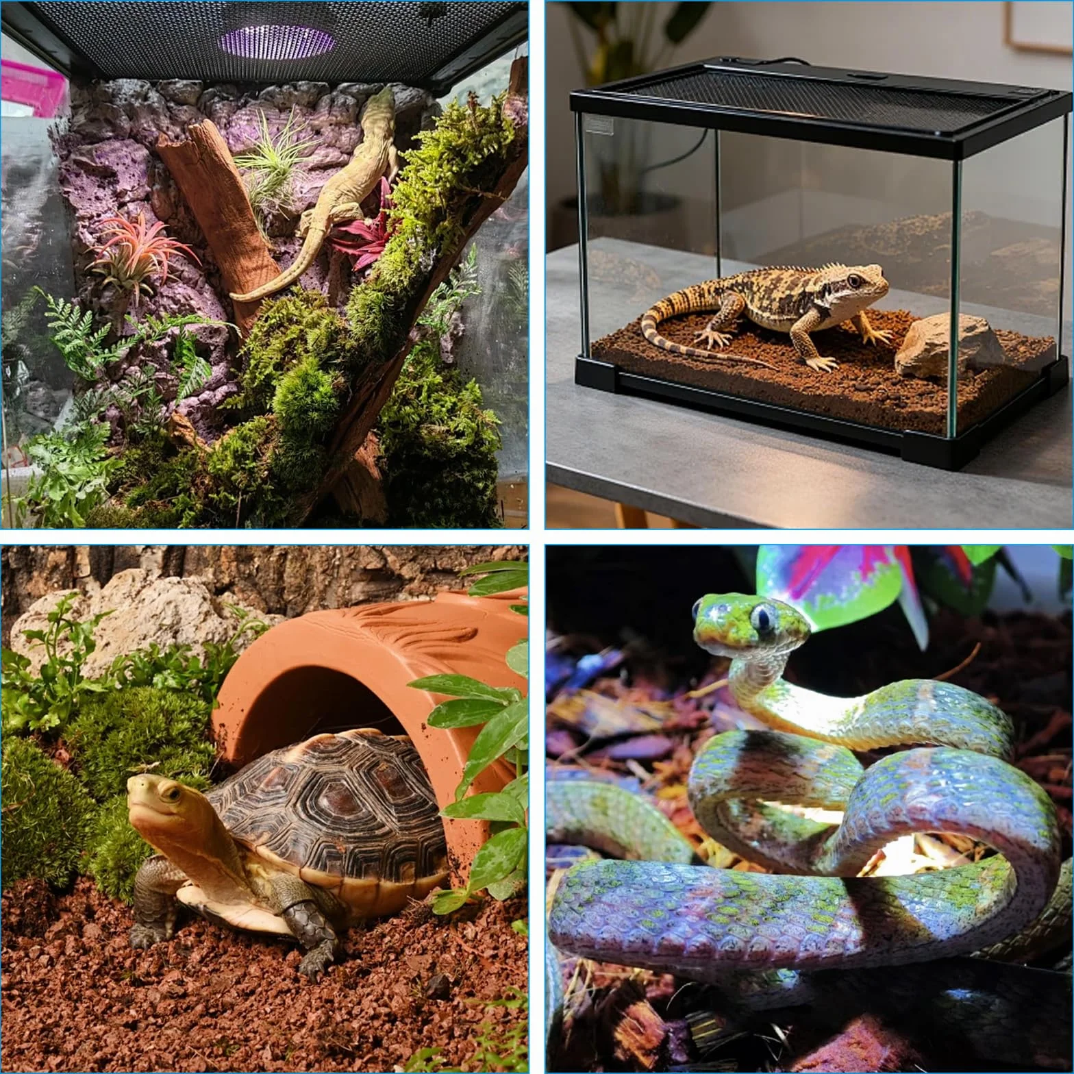 Système de Brumisation Terrarium avec Minuterie, Buse Réglable 360°, Humidificateur Intelligent Reptiles