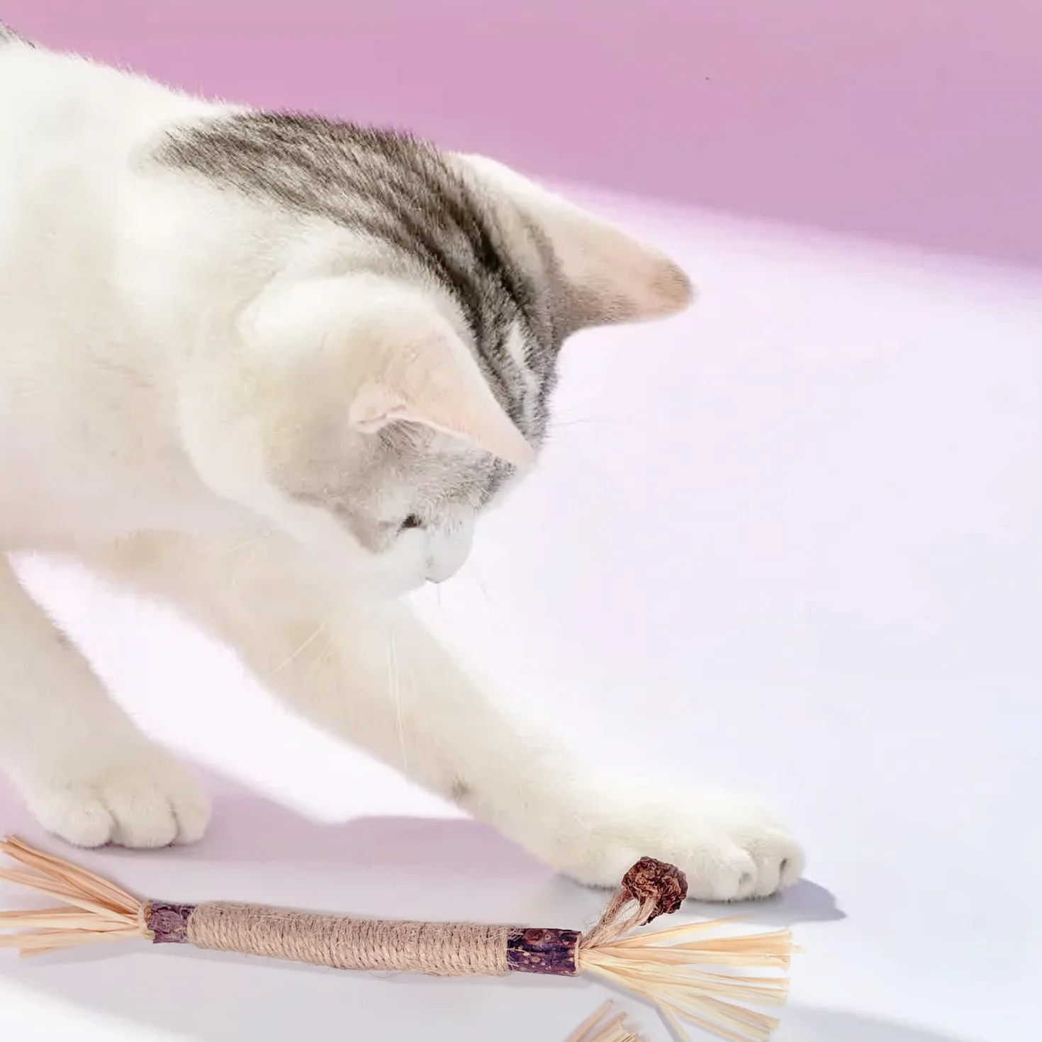 Lot de 6 bâtonnets d'herbe à chat en bois à mâcher pour soins dentaires et mauvaise haleine