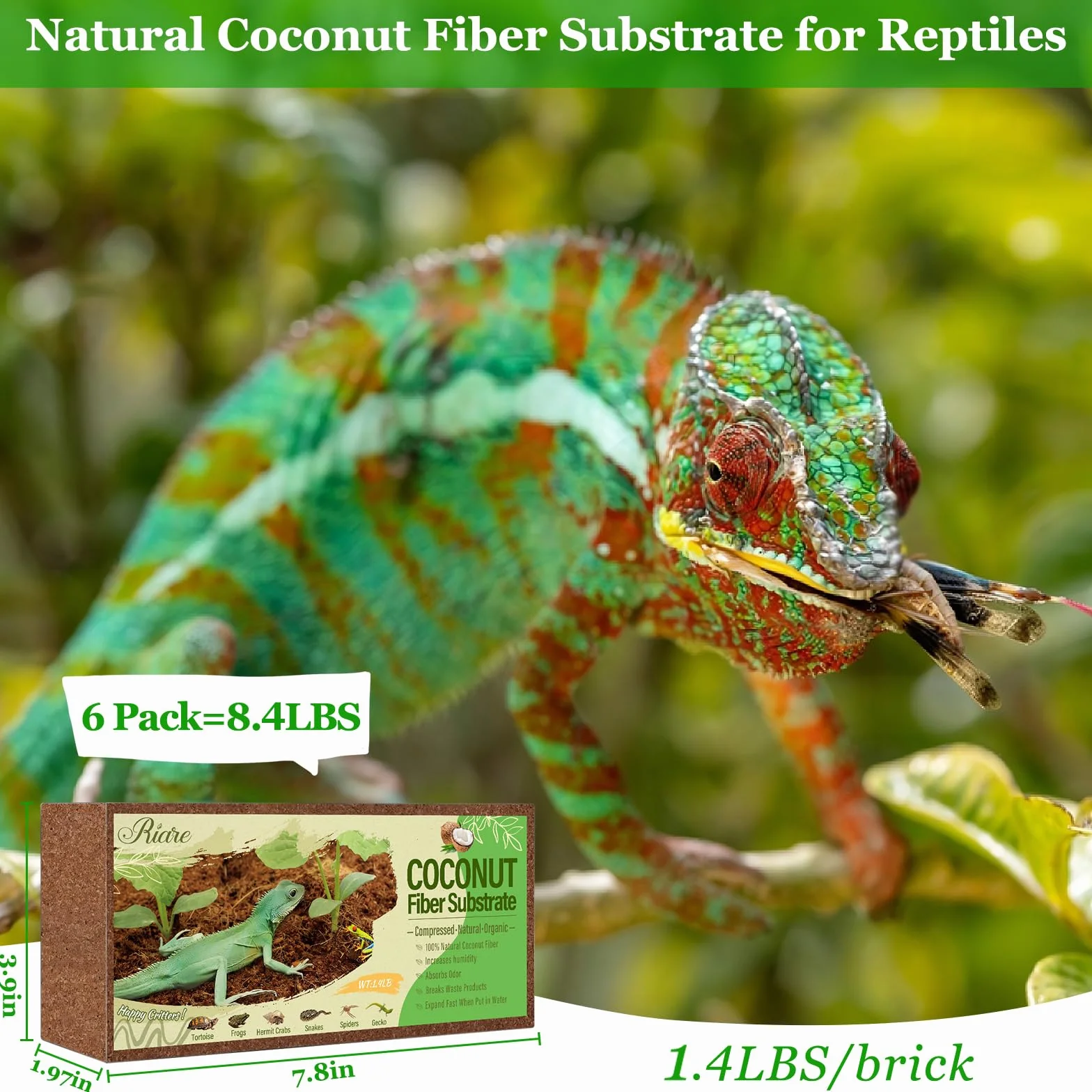 Riare Substrat Naturel en Fibre de Coco pour Reptile - Literie de Terrarium en enveloppe de Noix de Coco compressée de qualité supérieure pour Reptiles, Tortues, Grenouilles, Serpents (6)