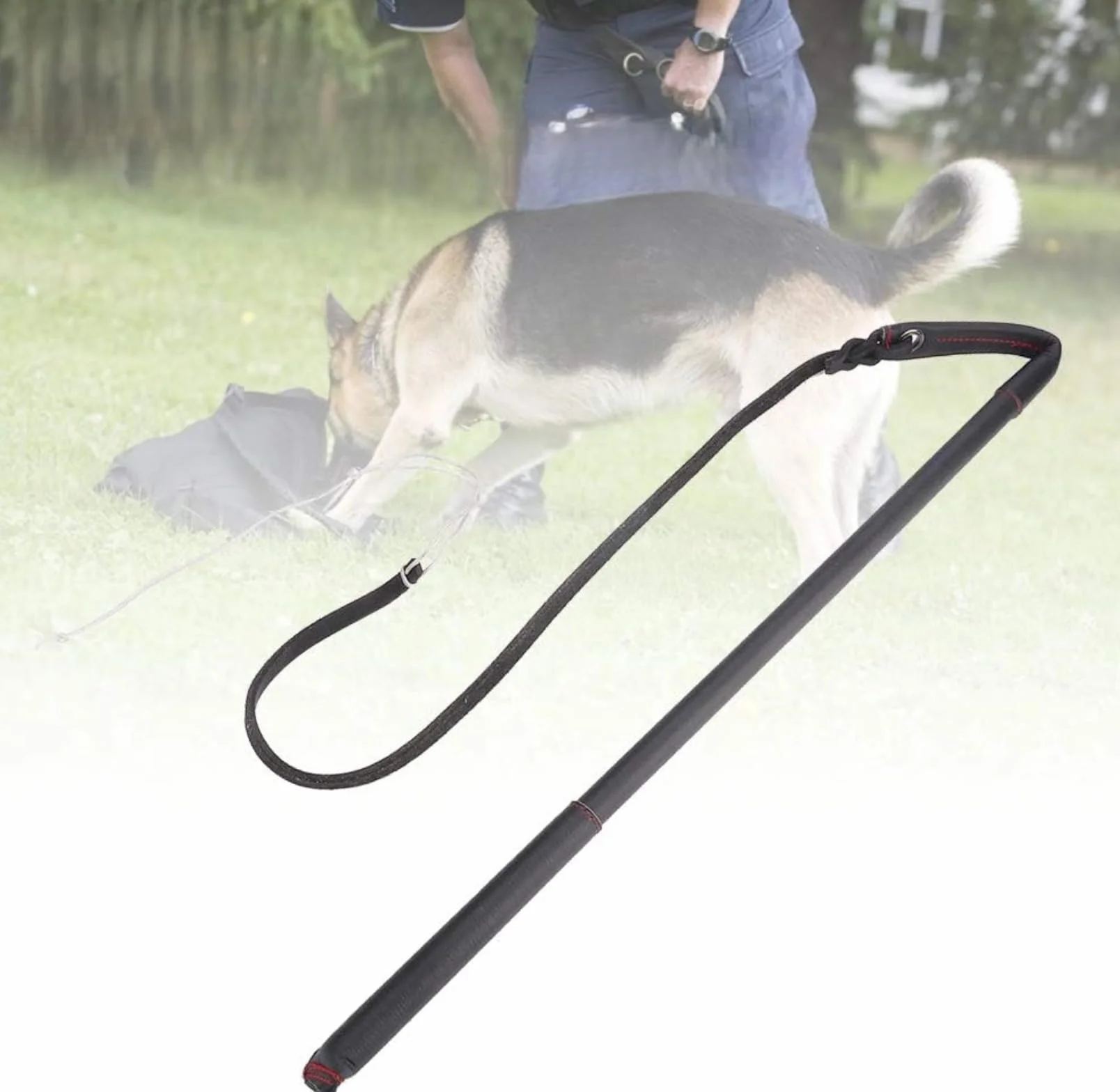 Cravache pour Chien en Cuir de Vachette avec Poignée Dressage Berger Allemand