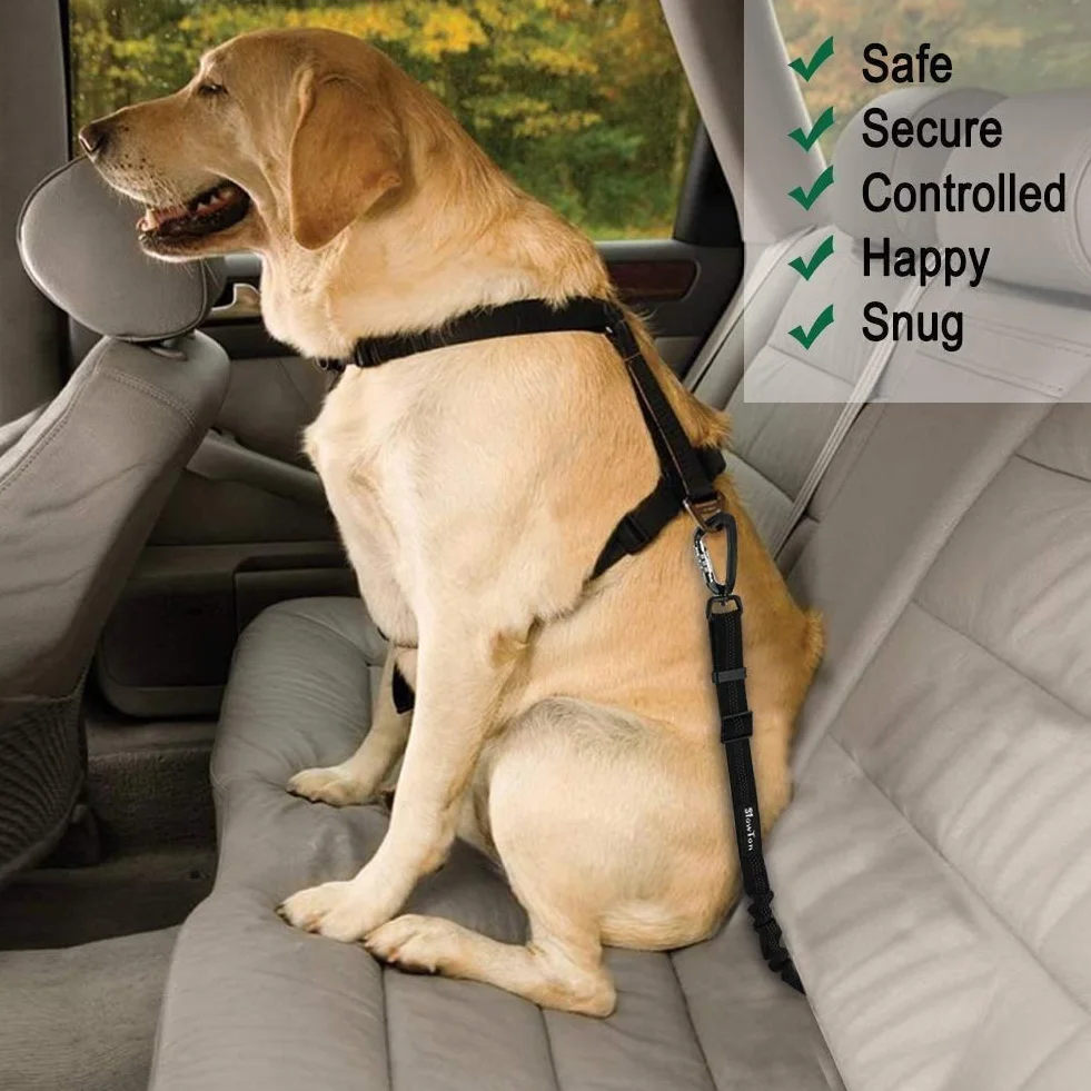 elloLife Ceinture Chien Voiture 2 Pièces Harnais Universel Ceinture de Sécurité Indéchirable Durable Réglable 50-90cm Nylon Noir