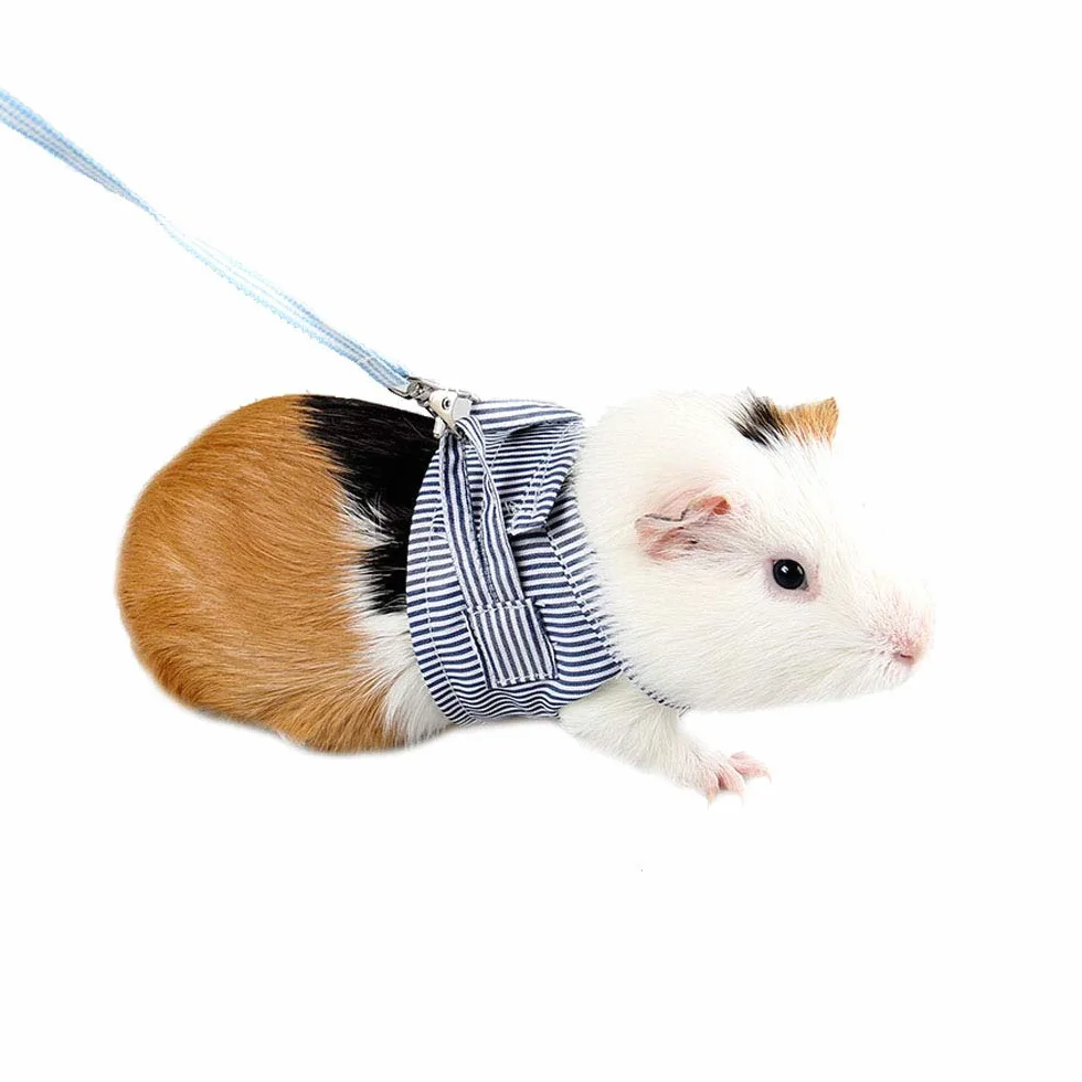 ASOCEA Ensemble de Harnais et Laisse réglables en Coton Doux pour Lapins cochons d'Inde pour Rats Iguane Hamster furets Petit Animal