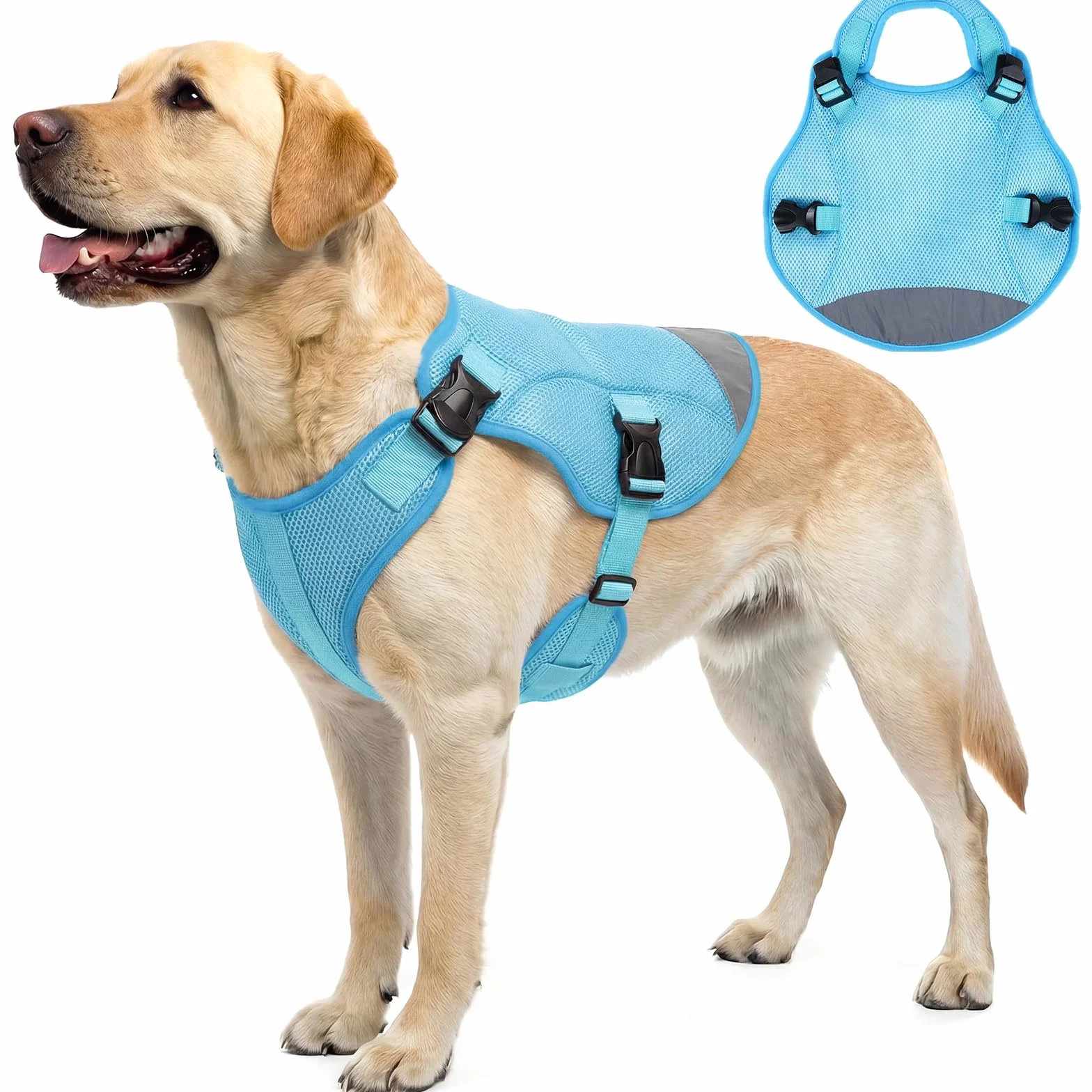 Veste rafraîchissante pour chiens XL - Gilet frais respirant par évaporation avec bandes réfléchissantes