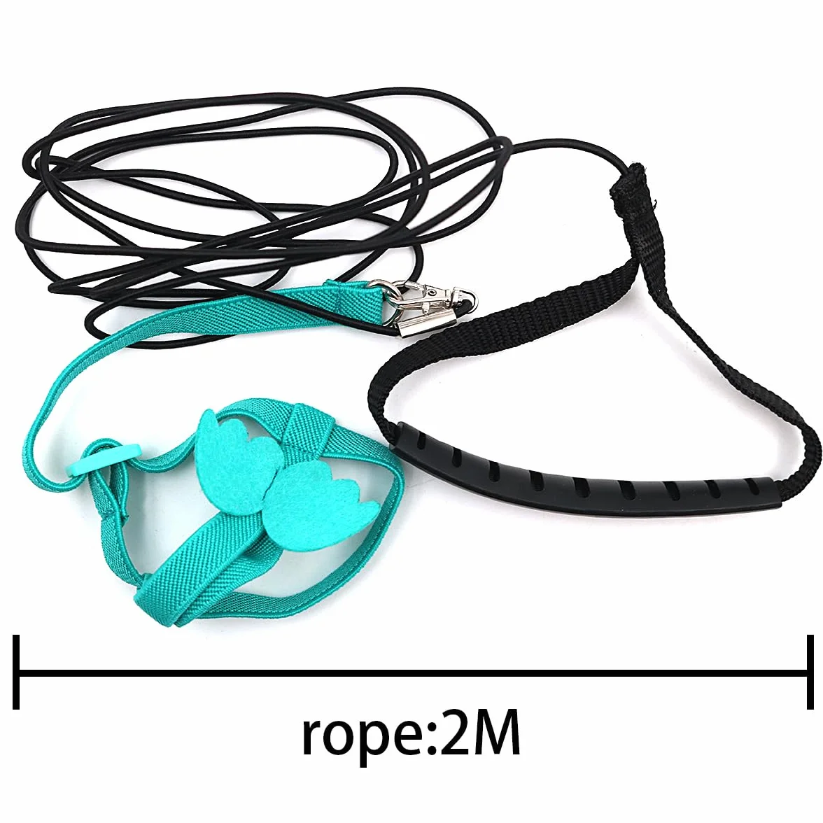 Kit de Harnais et Laisse pour Oiseaux en Plein Air, Harnais réglable pour Animaux de Compagnie (Bleu Clair)