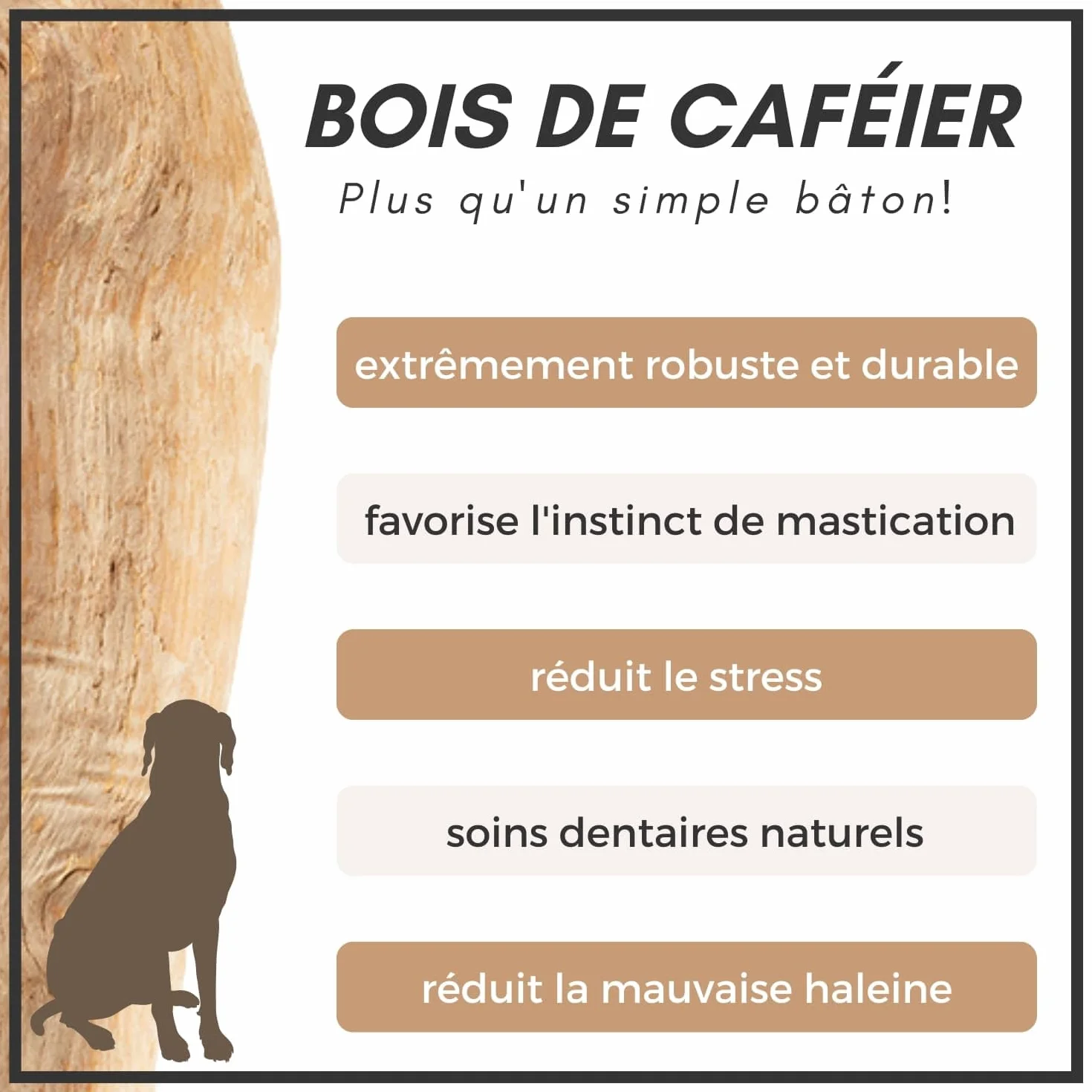 Supravit Os à Naturel en Bois de café pour Chiots XS Jouet à mâcher Durable