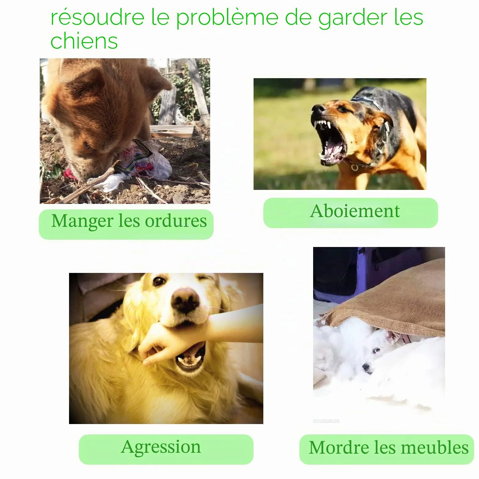 OHCOZZY Muselière pour Chien, Museau, Muselière Panier pour Petits, Moyens Et Grands Chiens avec Sangles Réglables (Taille 4,Noir)