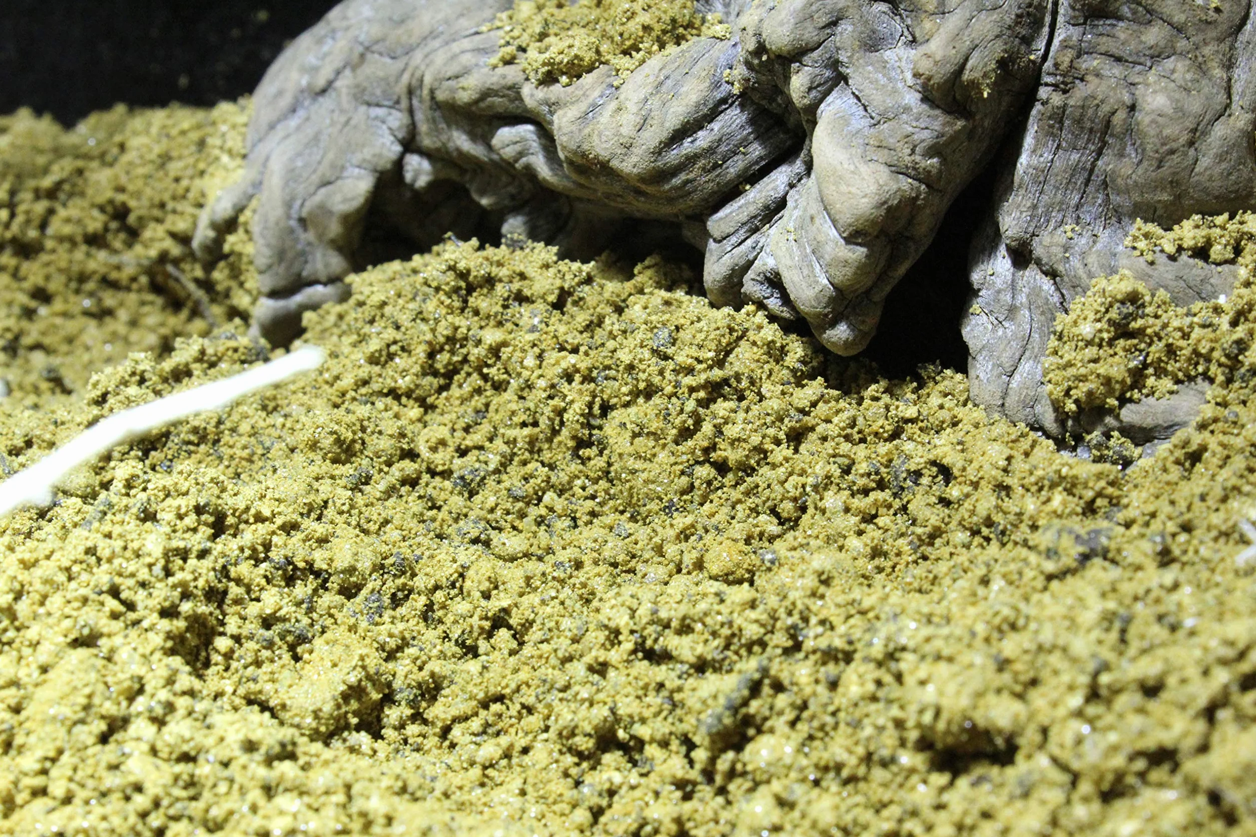 Lucky Reptile Desert Bedding Golden Yellow 20 L Fond de Sol pour Terrarium