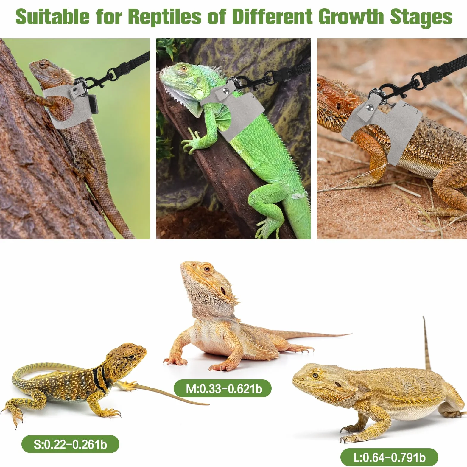 Ensemble harnais et laisse pour dragon barbu - 3 tailles ajustables - Gilet en cuir d'entraînement et de promenade pour lézards - Corde de traction anti-évasion pour petits reptiles