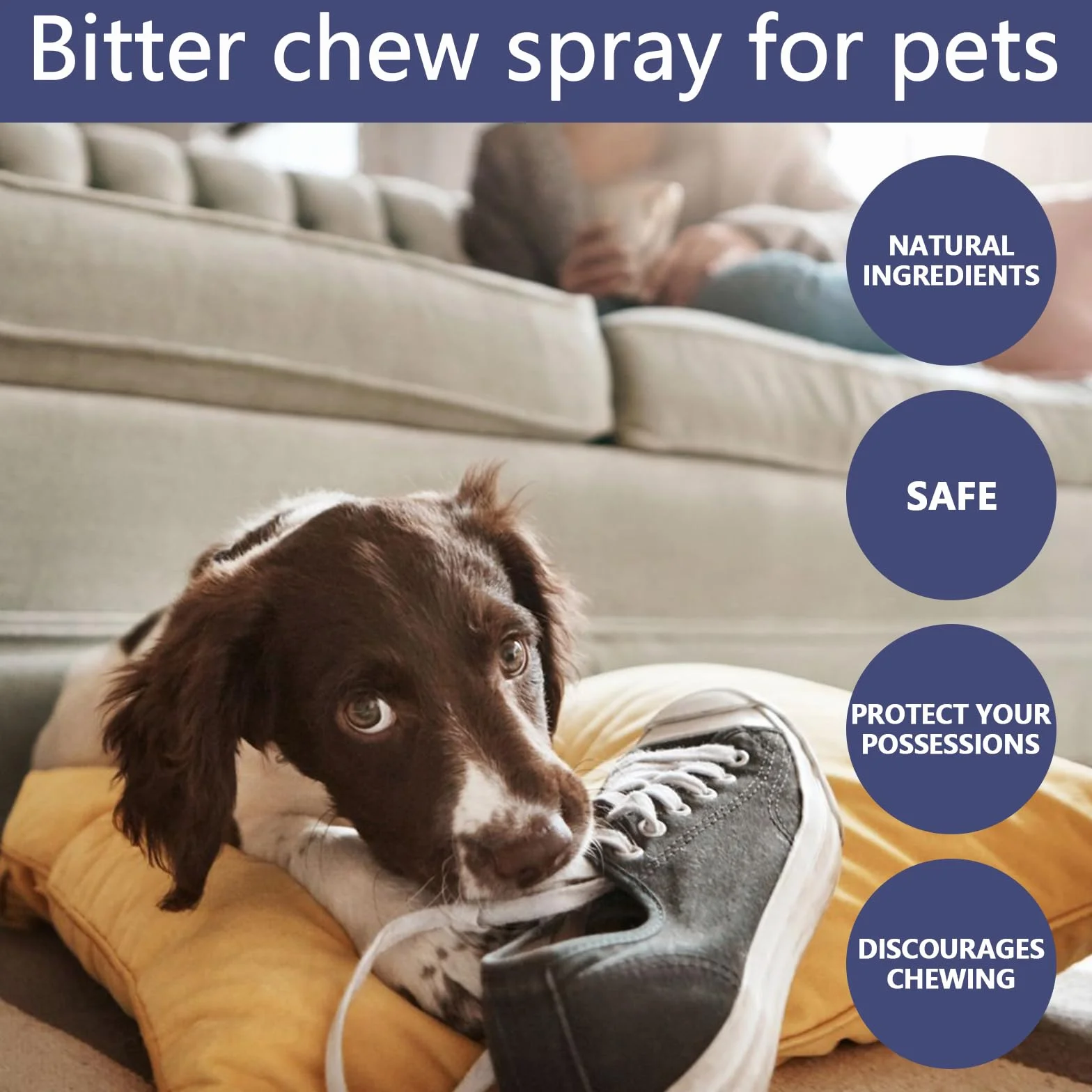 Répulsif Chat Canapé Spray Anti Griffure 50ml