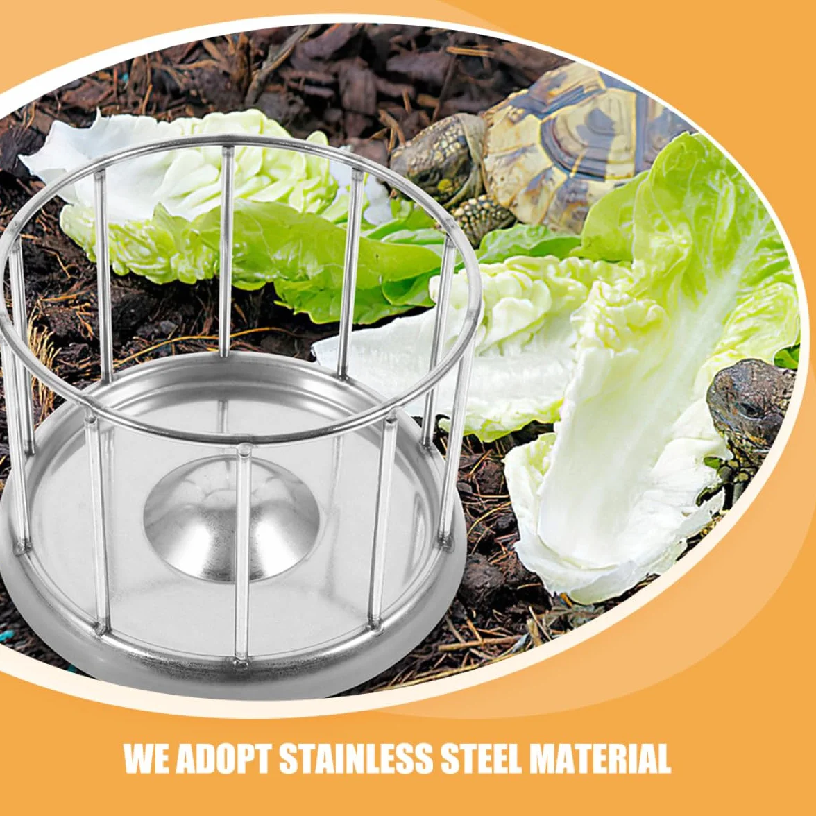 Artibetter Gamelle Acier Inoxydable Argenté Mangeoire Reptile Tortue Terrestre