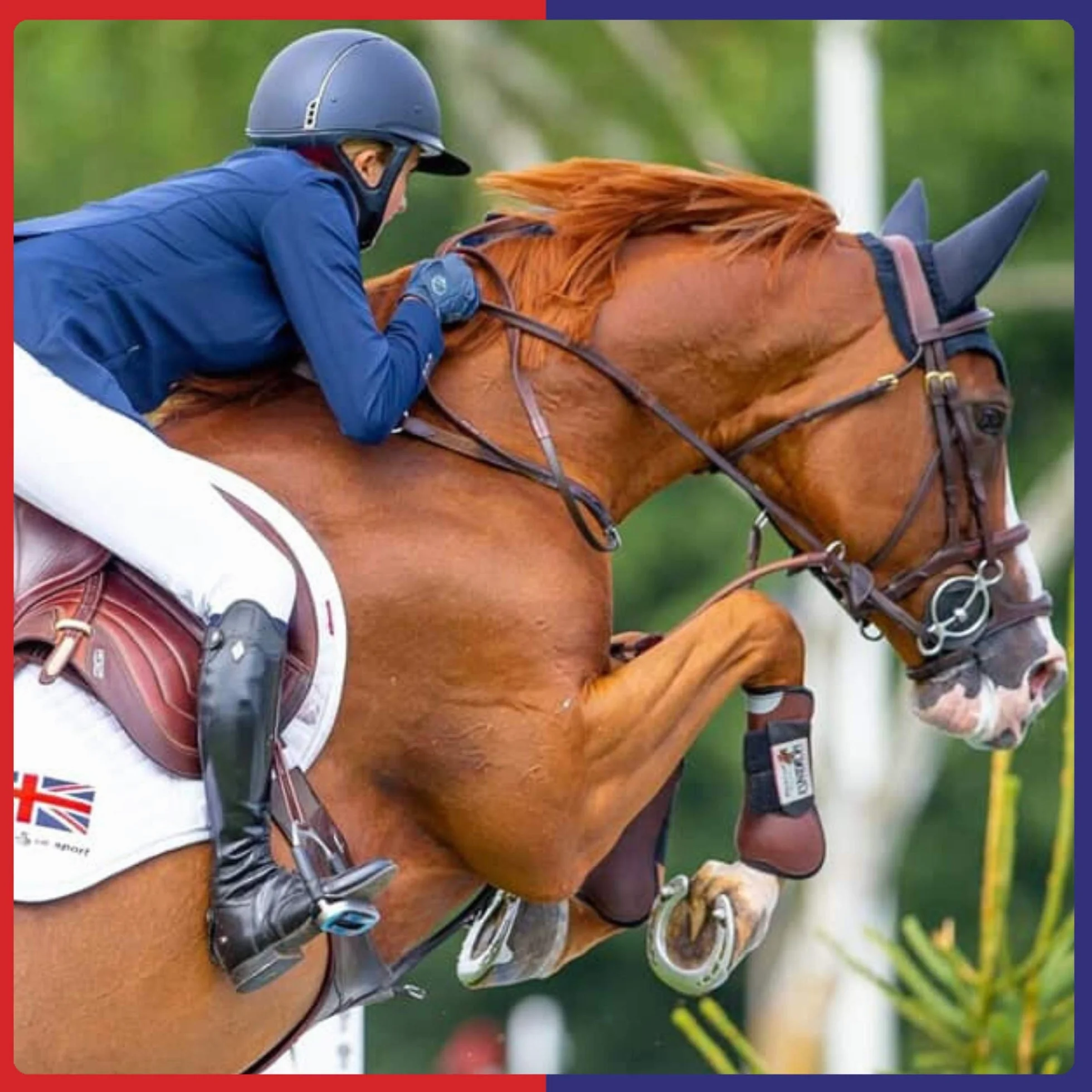 Equine America So-Kalm-Solution 1l