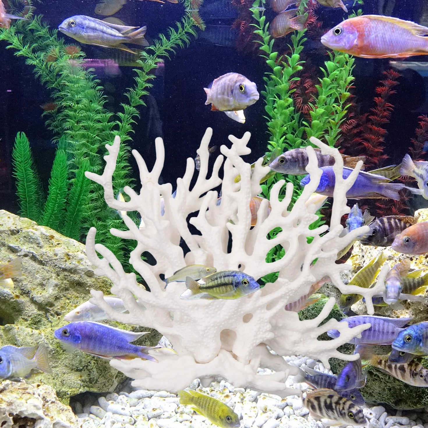 Tinoaly Décorations pour Aquarium Récif de Corail en Résine Blanche Ornements Réalistes
