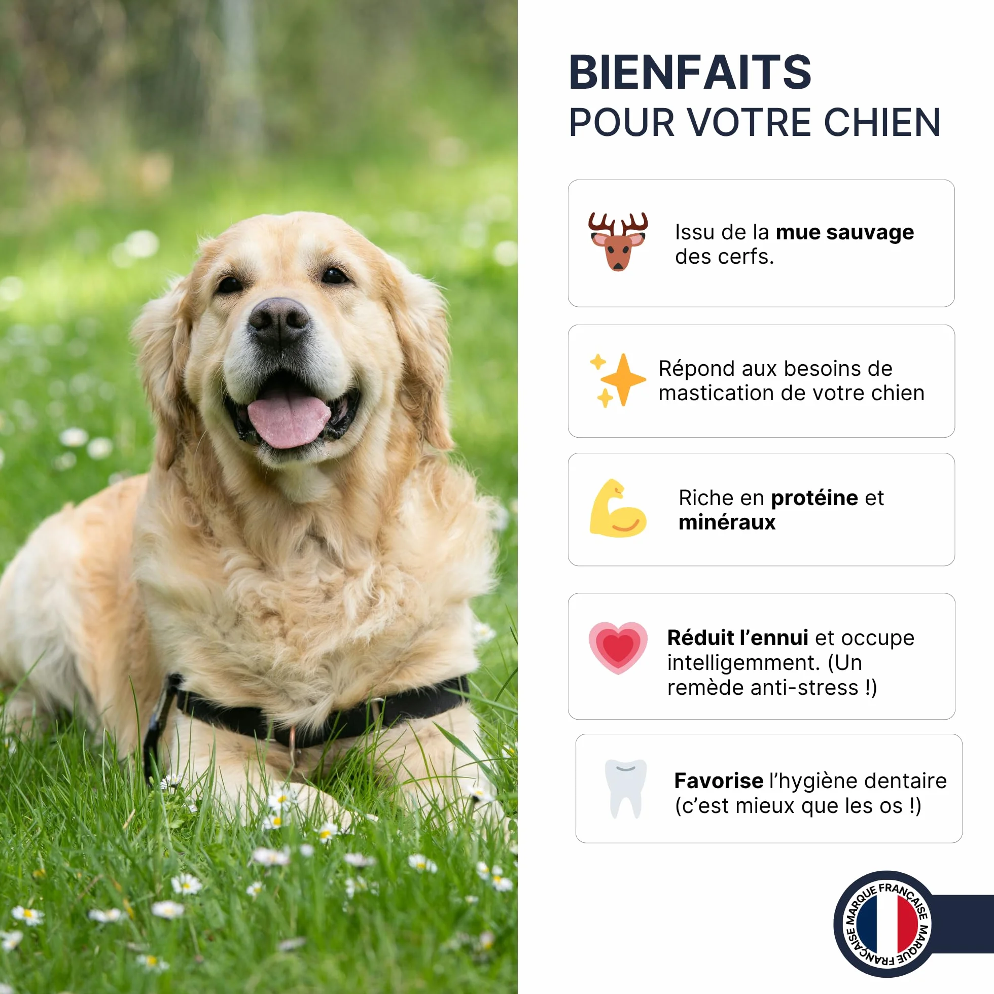 Bois de Cerf Fendu pour Chien, Friandise à Mâcher Naturelle Longue Durée, Soin Dentaire, 100% Bois de Cerf (XL)