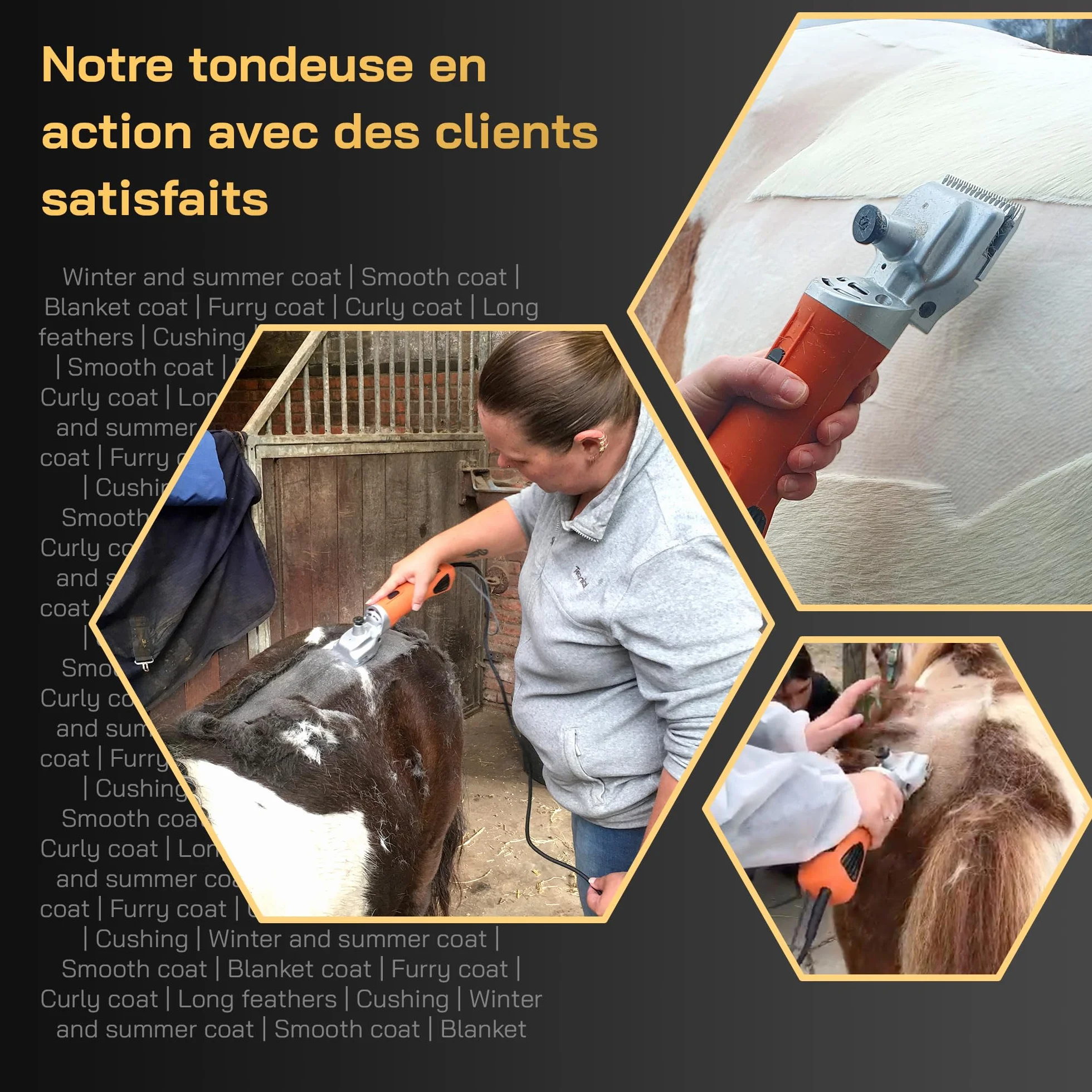 Tondeuse Cheval KNEIZER Kit Complet Lames Interchangeables Silencieuse Faible Vibration