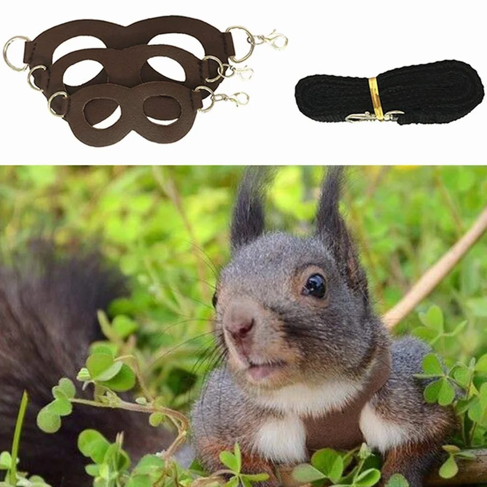 Harnais Ecureuil Laisse Gilet Jouet pour Chinchilla Gerbille Furet Animaux Souris Rat Petits