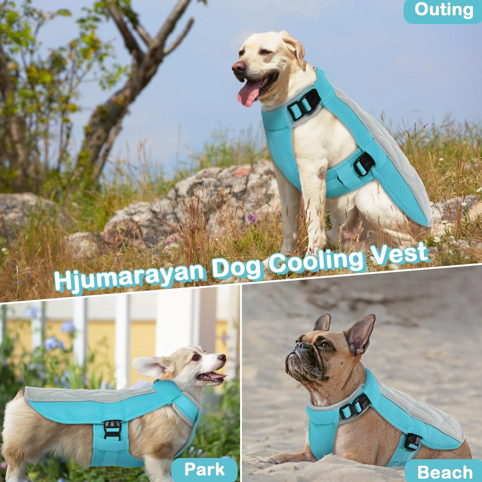 Gilet Rafraichissant pour Chien, Manteau de Refroidissement Respirant, Bleu