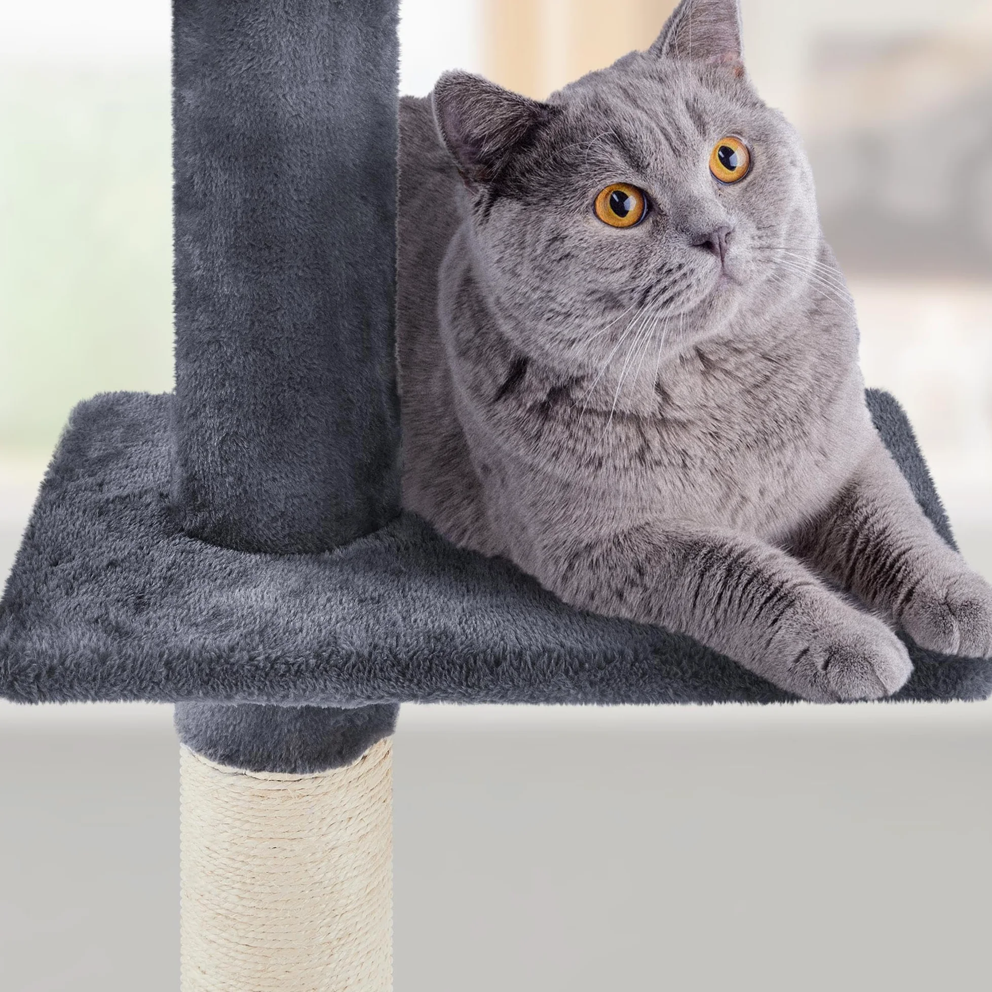 Abician Arbre à Chat du Plafond Poteau à griffer Réglable en Hauteur 226-265 cm avec Niche Chat Gris foncé