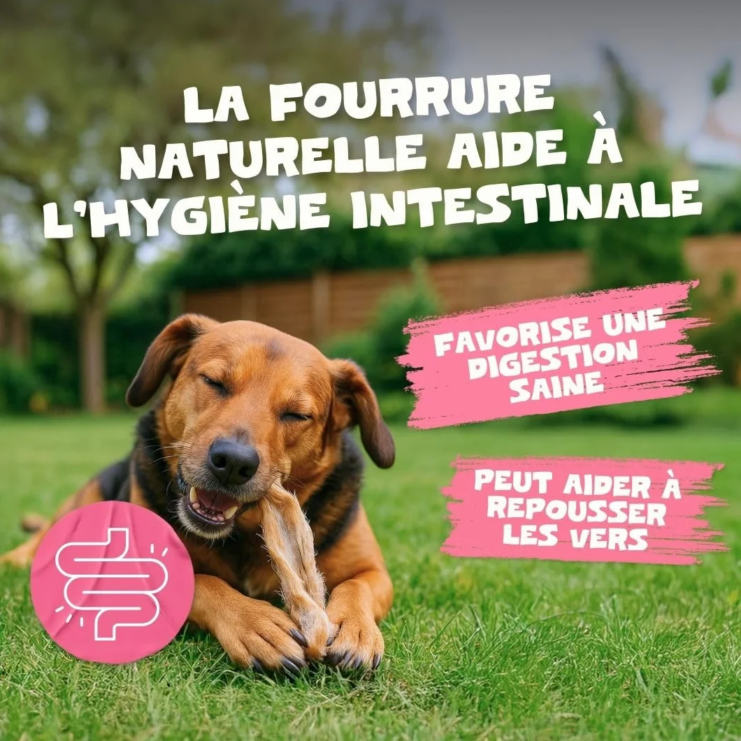 Pets Purest Oreilles de Lapin avec Fourrure pour Chiens, Chiots & Seniors - Friandise à Mâcher 100% Naturelles, Séchées à l'Air, pour Les Aliments Crus et Les Régimes Hypoallergéniques sans Céréales.