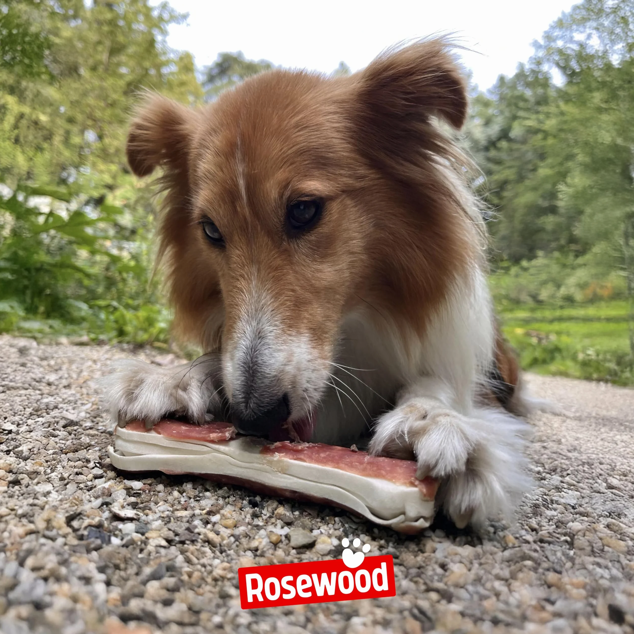Rosewood Chewy Bones Canard Medium Friandise à mâcher pour Chien Peau de bœuf 80 g