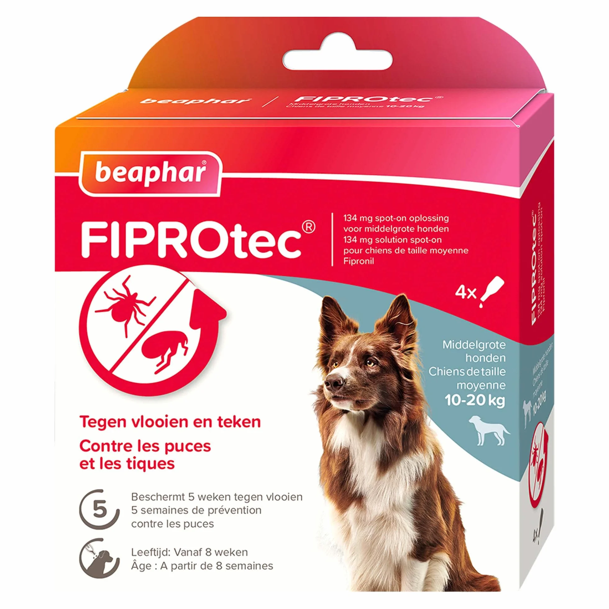BEAPHAR FIPROTEC Solution Spot-on pour Chiens Moyens 10-20 kg 134 MG Fipronil Anti-Puces Anti-Tiques 4 Pipettes