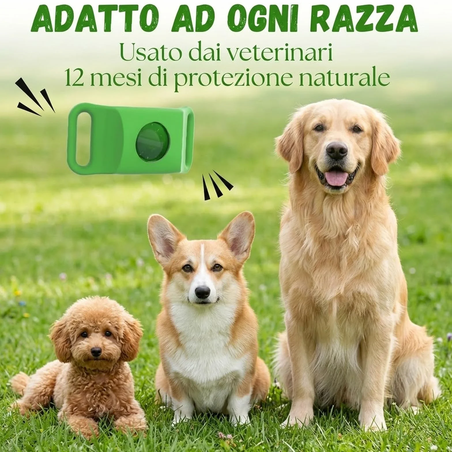 Kanivora Collier Antiparasite Chien 100% Naturali Regolabile Protegge Da Pulci E Zecche