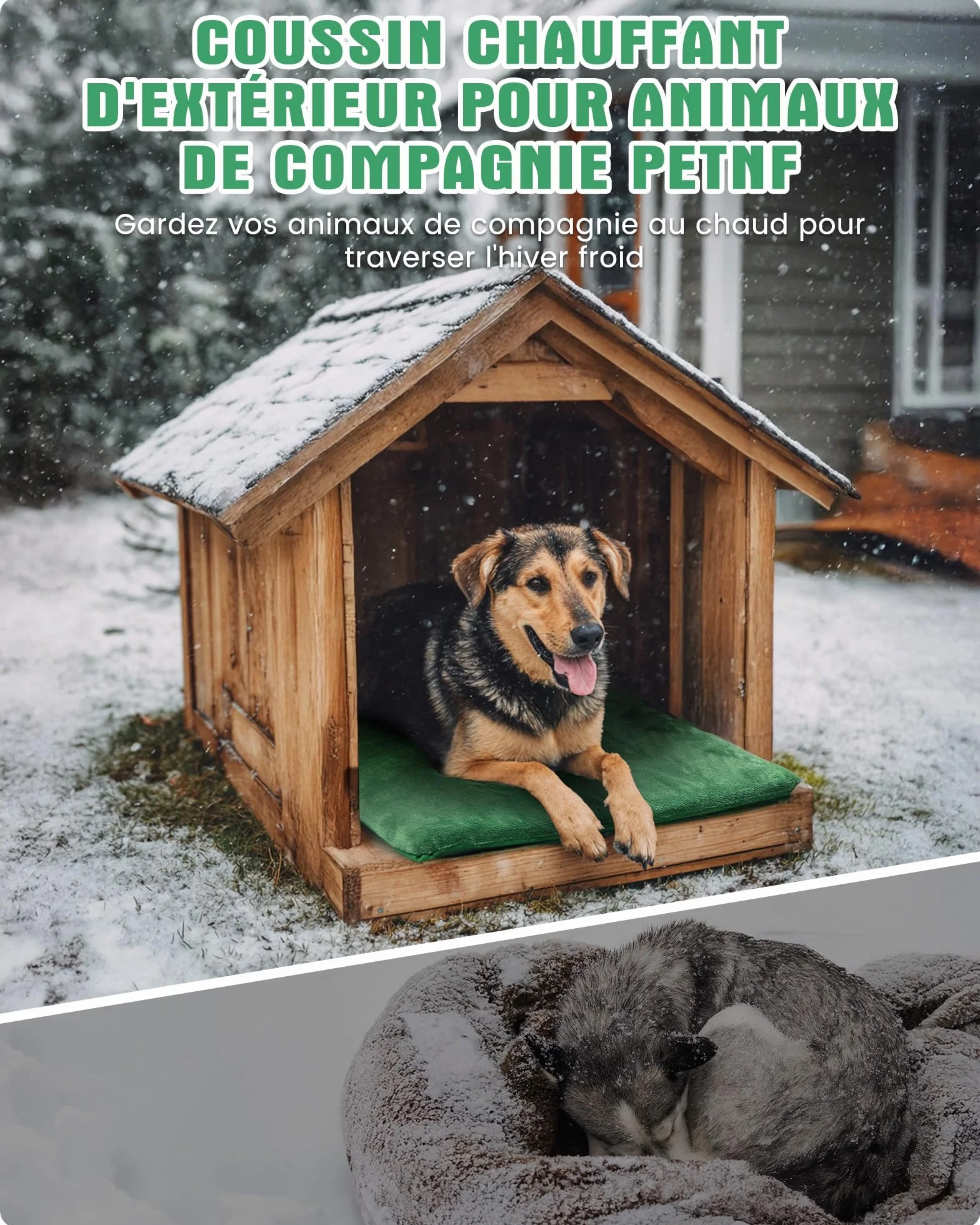 petnf Coussin Chauffant d‘Extérieur pour Chien et Chat - Température Auto-Régulée, Étanche, Câble Anti-Morsure - pour Niche, Maison de Chat et Panier, Vert, 40x50 cm