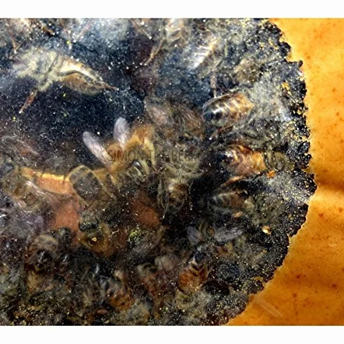 PROTEICO Nourriture pour Apiculture 1 kg