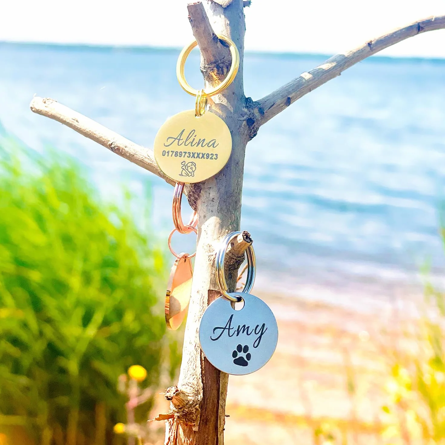 Médaille d’identification personnalisée pour chien en acier inoxydable avec gravure du nom, numéro de téléphone, adresse et date – pour Noël et anniversaire