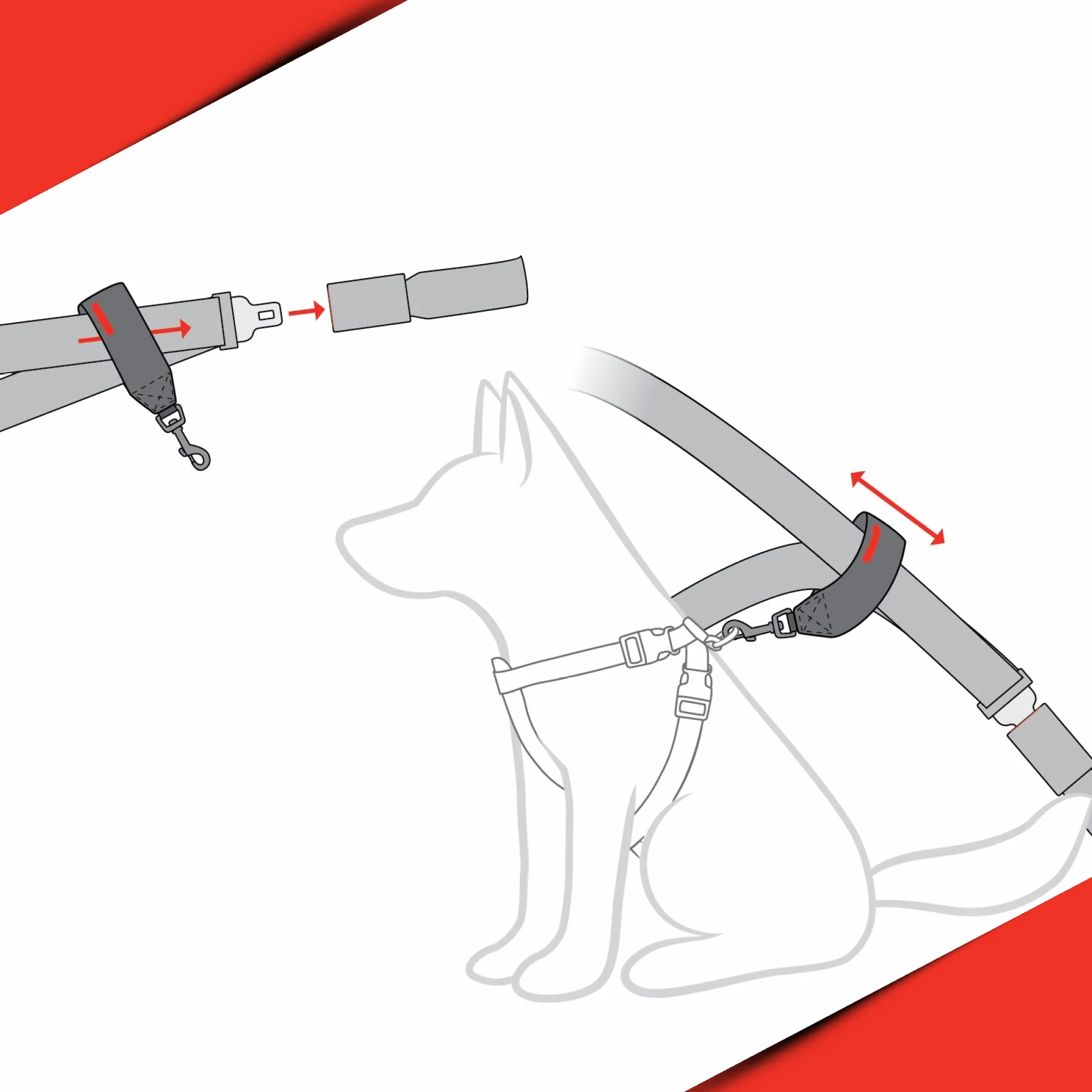 EzyDog Ceinture Chien Voiture – Attache Universelle pour Harnais, Ceinture de sécurité en Nylon Robuste pour Chien en Voiture (Noir)