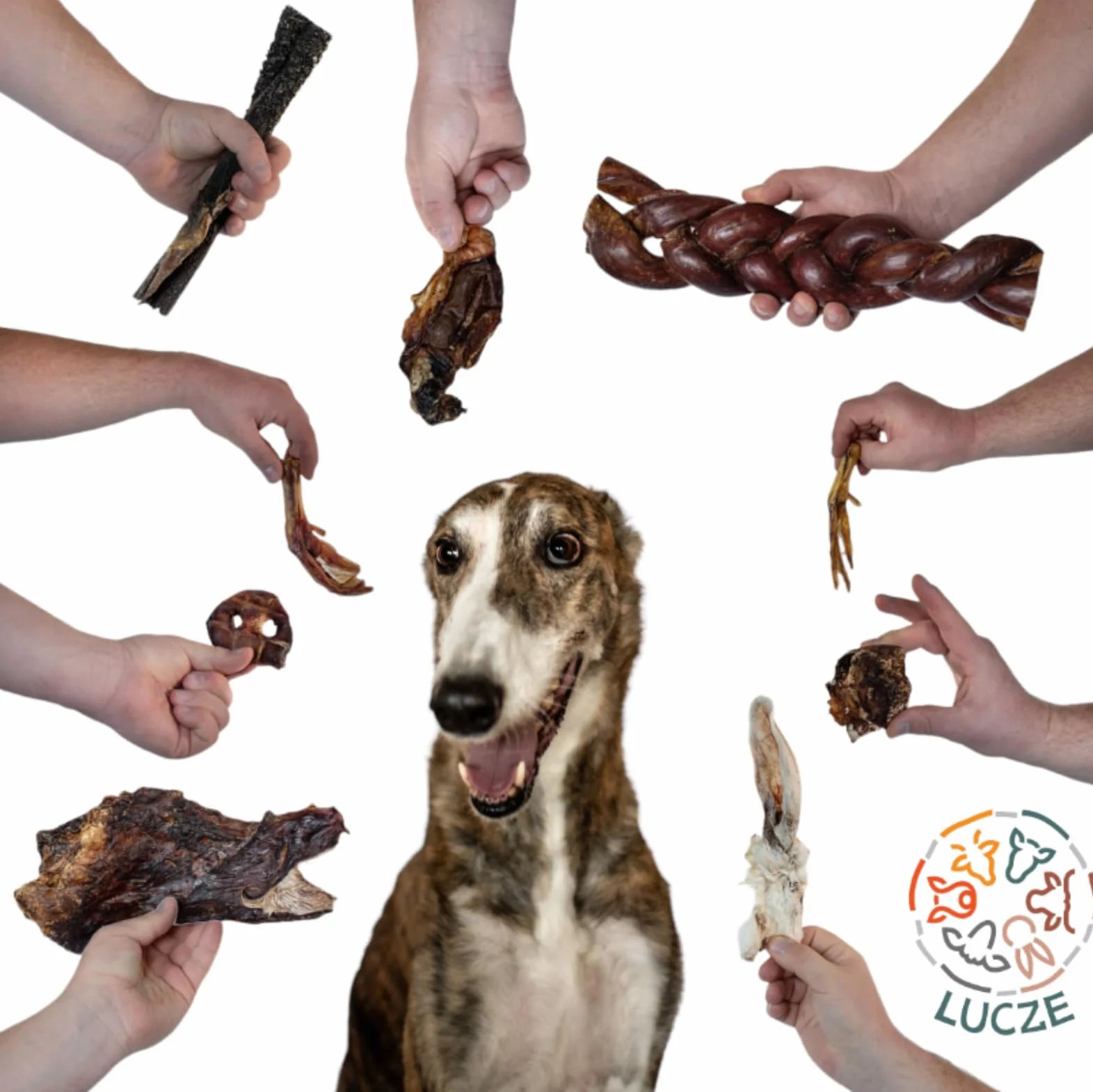 Oreilles de porc 5 kg, oreilles de porc séchées, articles à mâcher pour grands et petits chiens, friandises à mâcher naturelles Lucze Premium