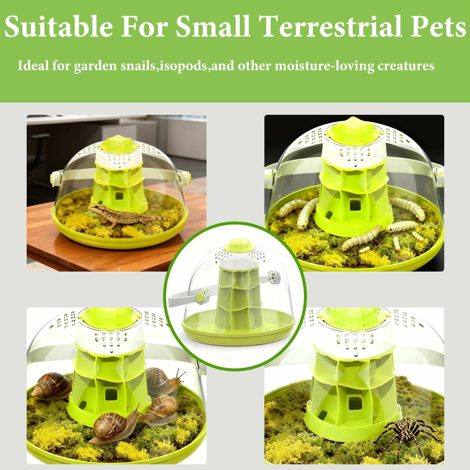 Kit de terrarium pour escargots - Boîte d'élevage d'observation pour mantes priantes, araignées, coccinelles