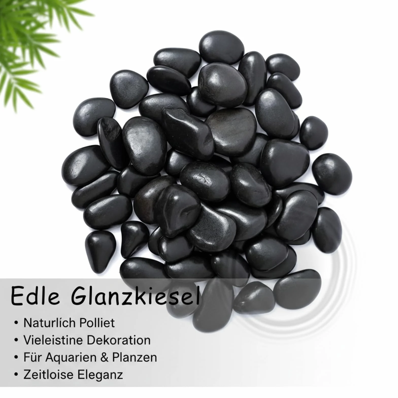 Galets Naturels Noir Poli 1 kg 3-5 cm Décoratifs pour Aquarium Jardin Plantes Bambou