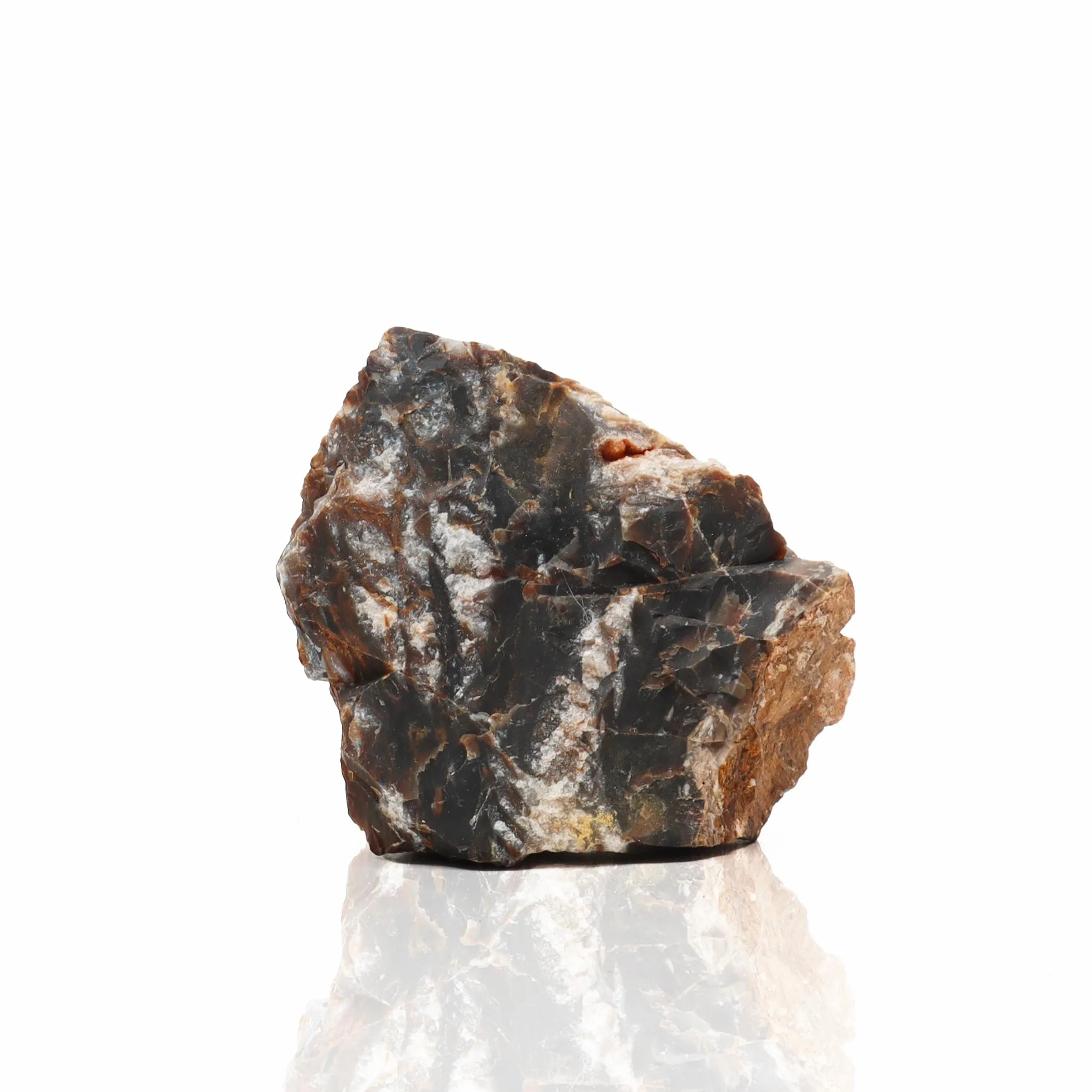 Amtra Roccia Pétrifiée M 720 gr